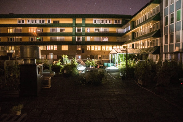 Skörda med pannlampa på Takfarmen