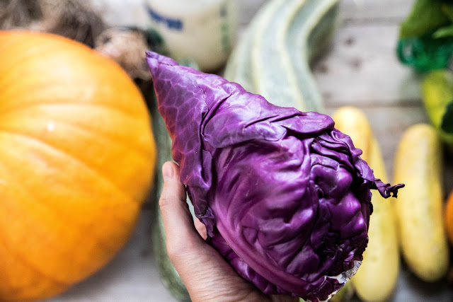 Takodlingen – följ med oss upp och skörda