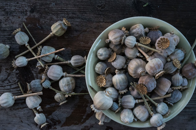 Vi odlar eget julpynt