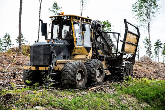 När skogen försvinner