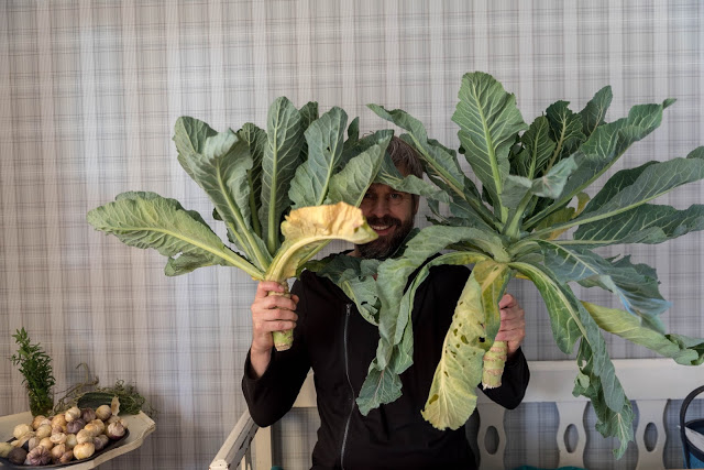 Misslyckad blomkål – en fantastisk middag