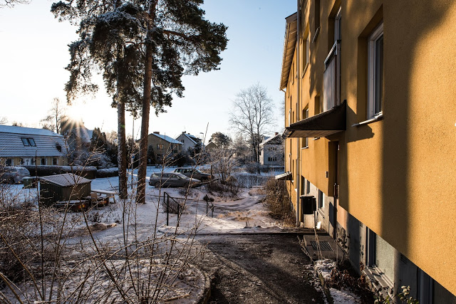 Tillsammansodlingen mitt i vintern