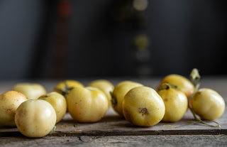 Ponderosa – tomaten som håller i minst 6 månader