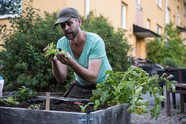 Är jag en trädgårdsmästare?