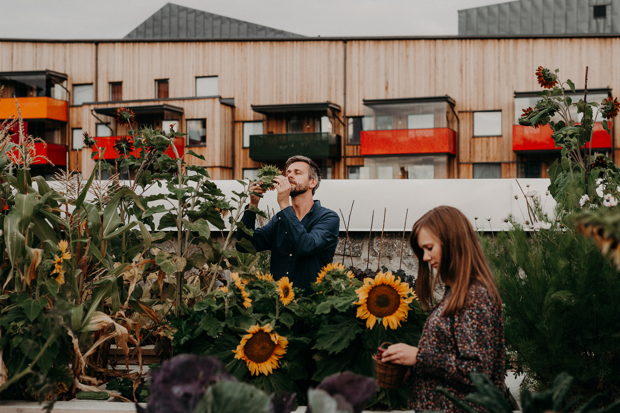 Välkomna till Farbror Gröns nya sida