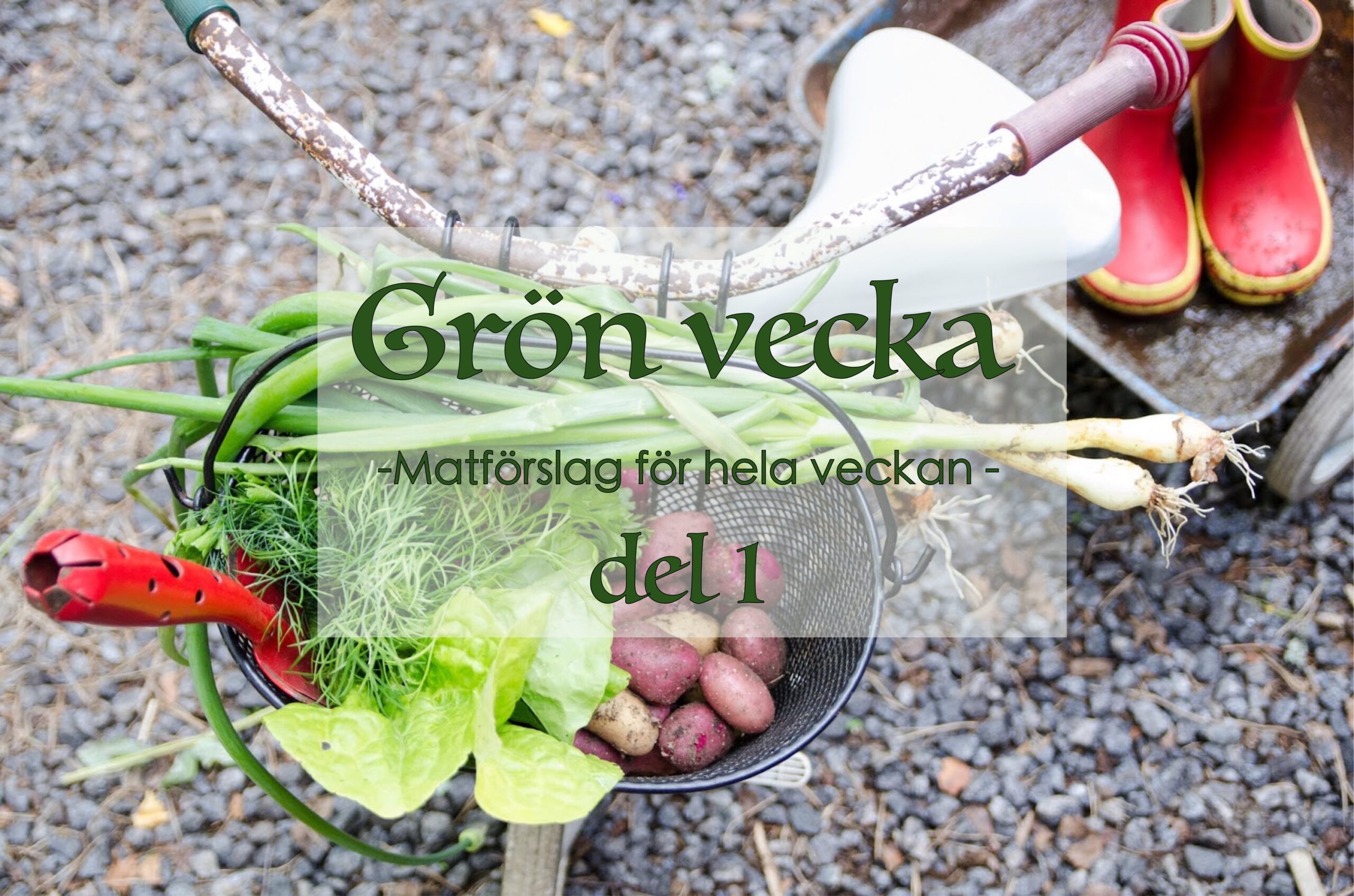 Grön vecka del 1 – matförslag för hela veckan