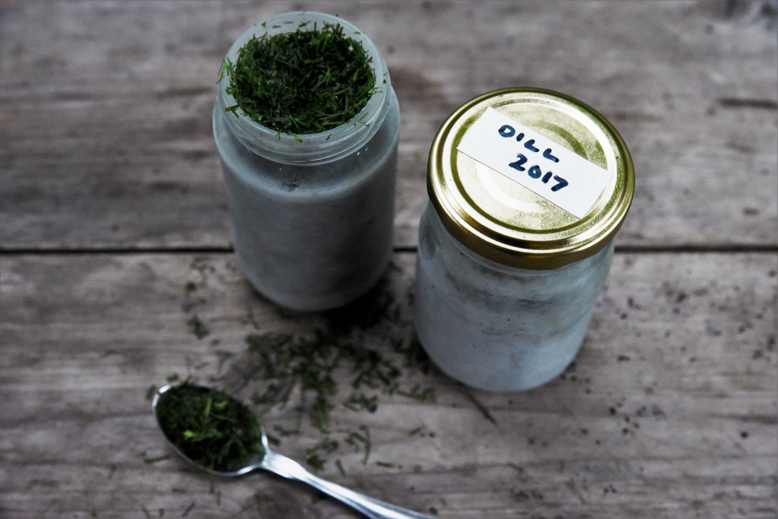 Fryst dill – så lagrar vi dill på ett enkelt sätt