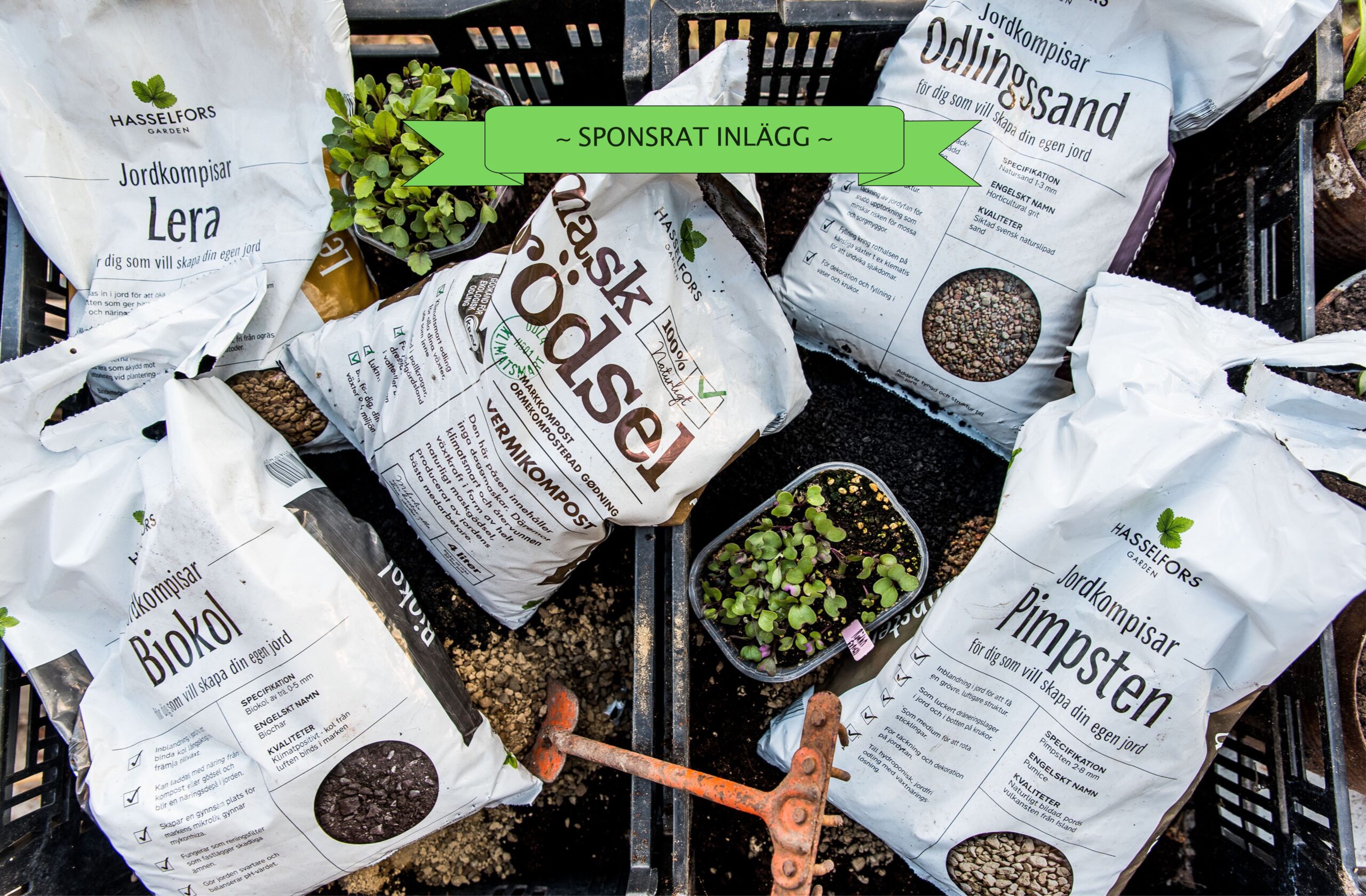 Vi undersöker Jordkompisar