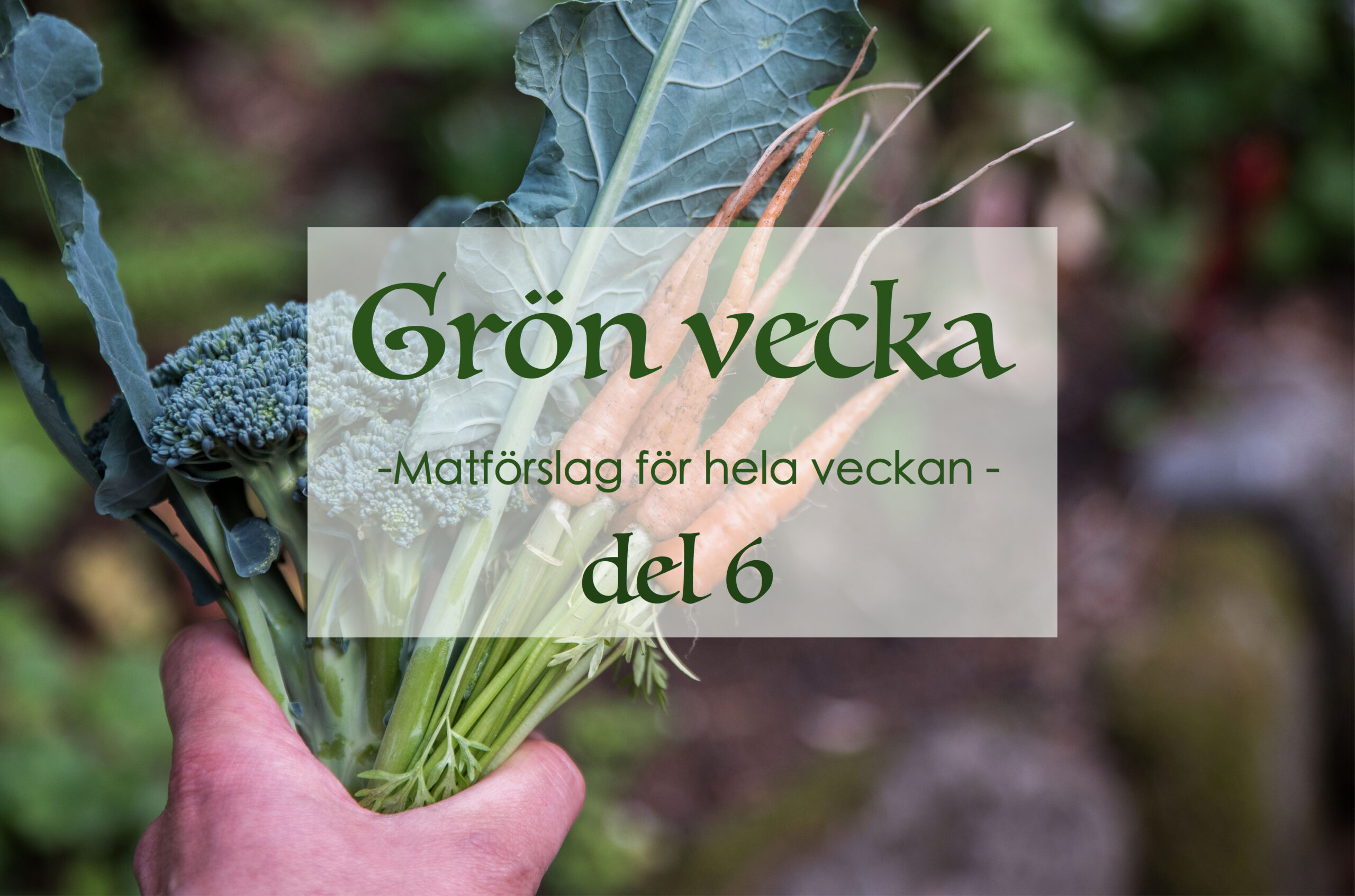 Grön vecka del 6 – matförslag för hela veckan