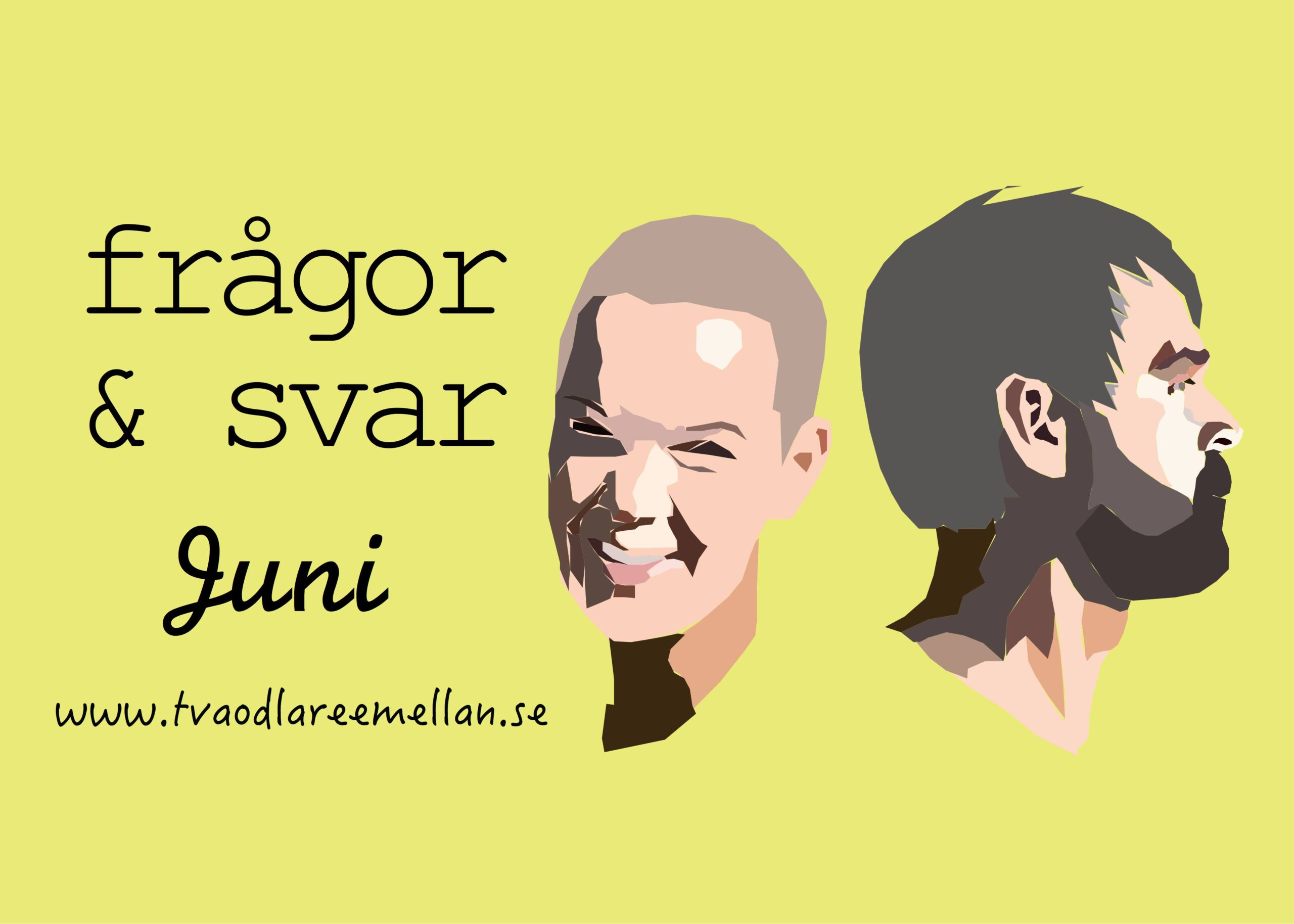 Poddavsnitt frågor och svar
