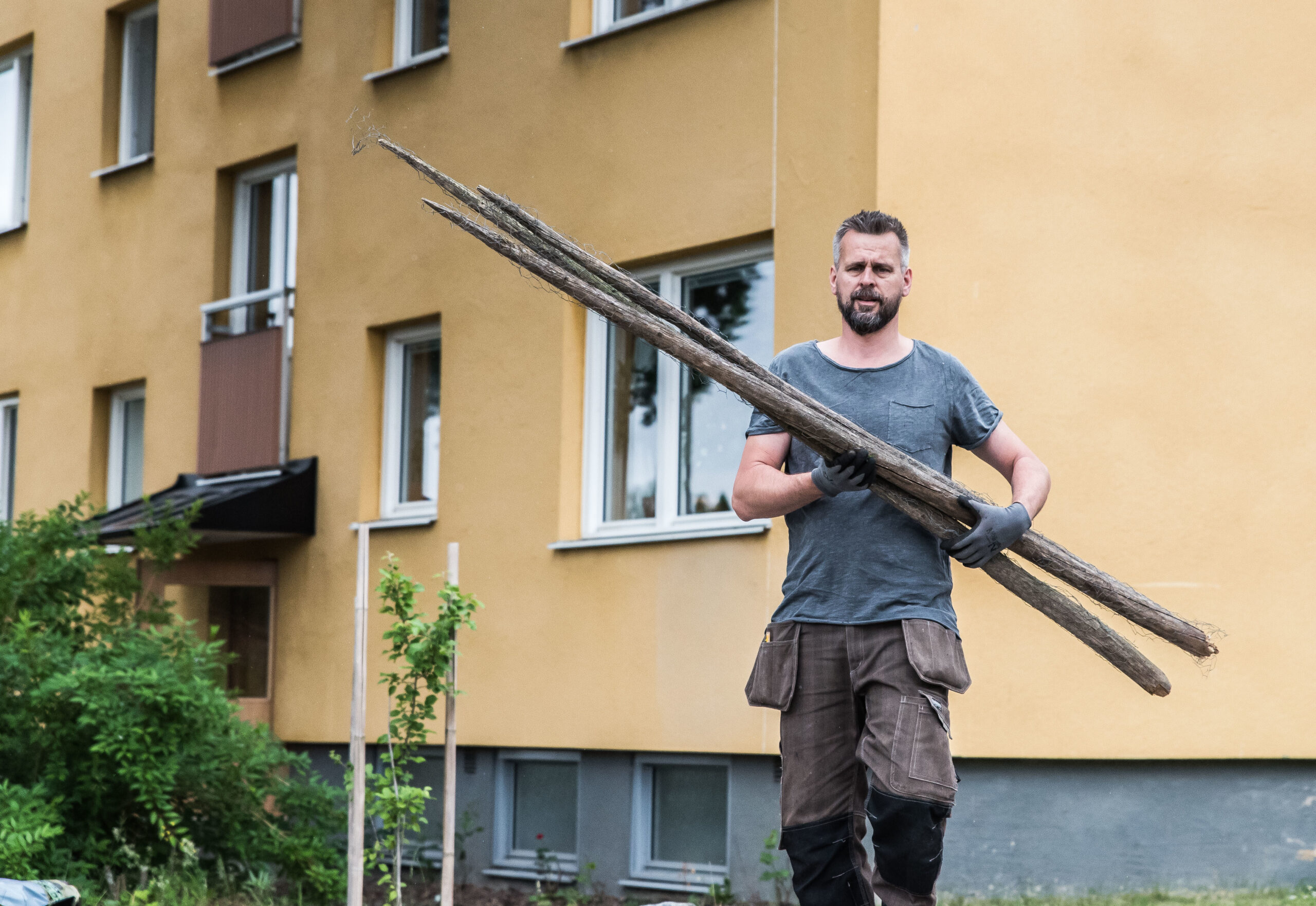 Klätterstörar – våra vackraste och bästa växtstöd