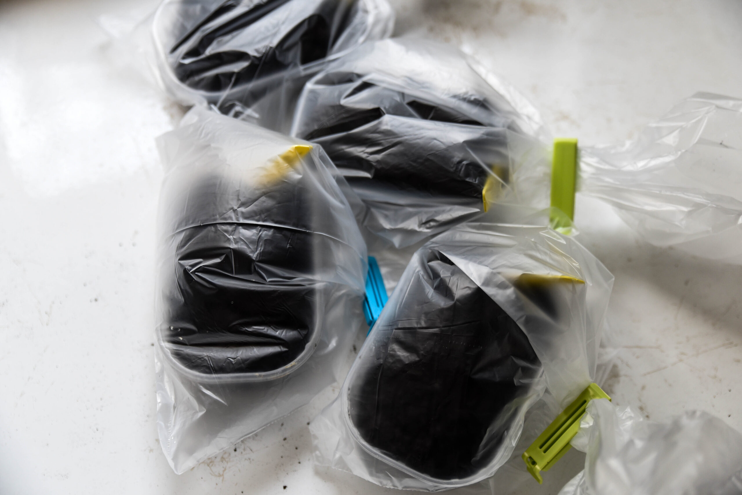 Vi ställer vår sallatssådd i kylskåpet