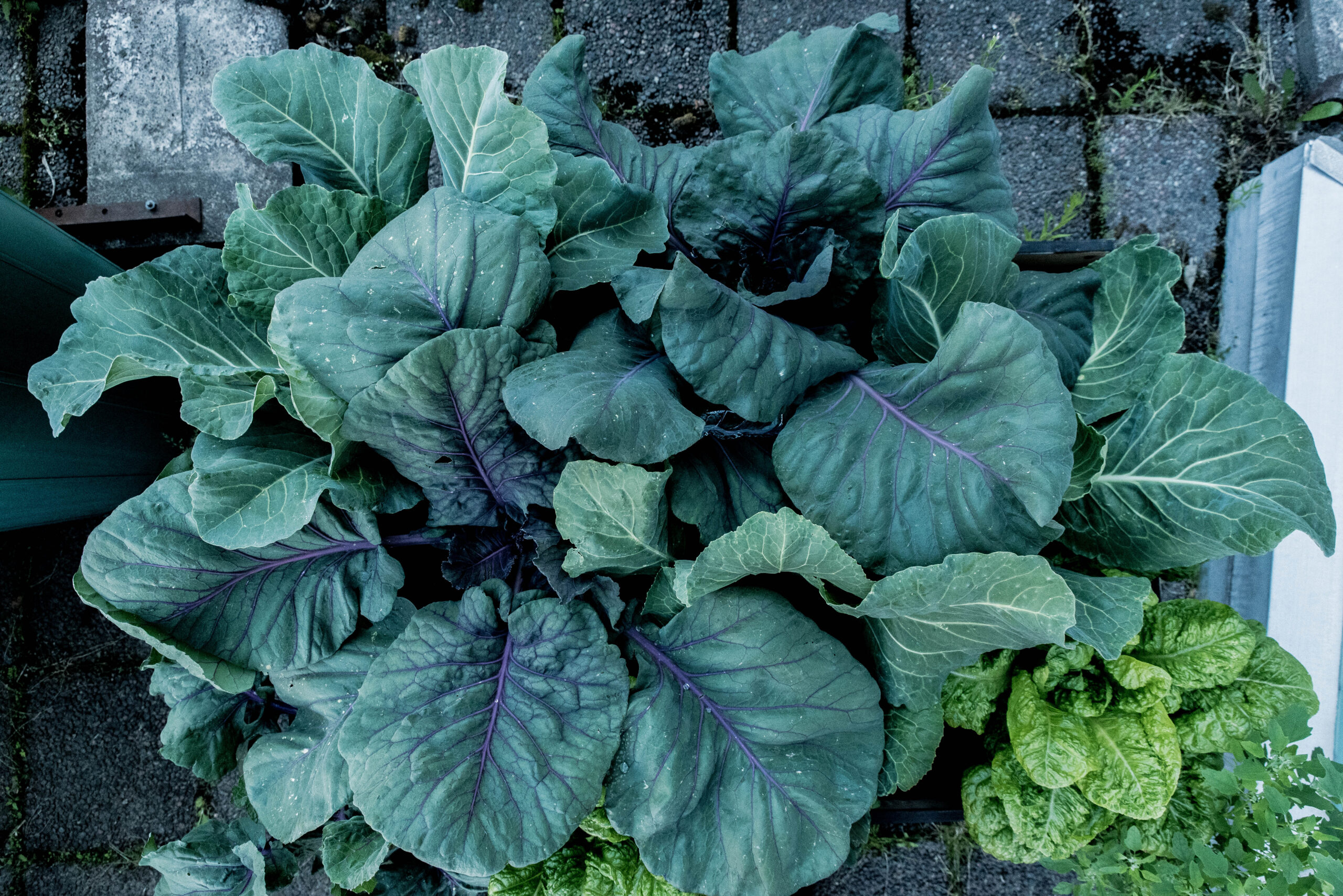 Gödslar du också för lite