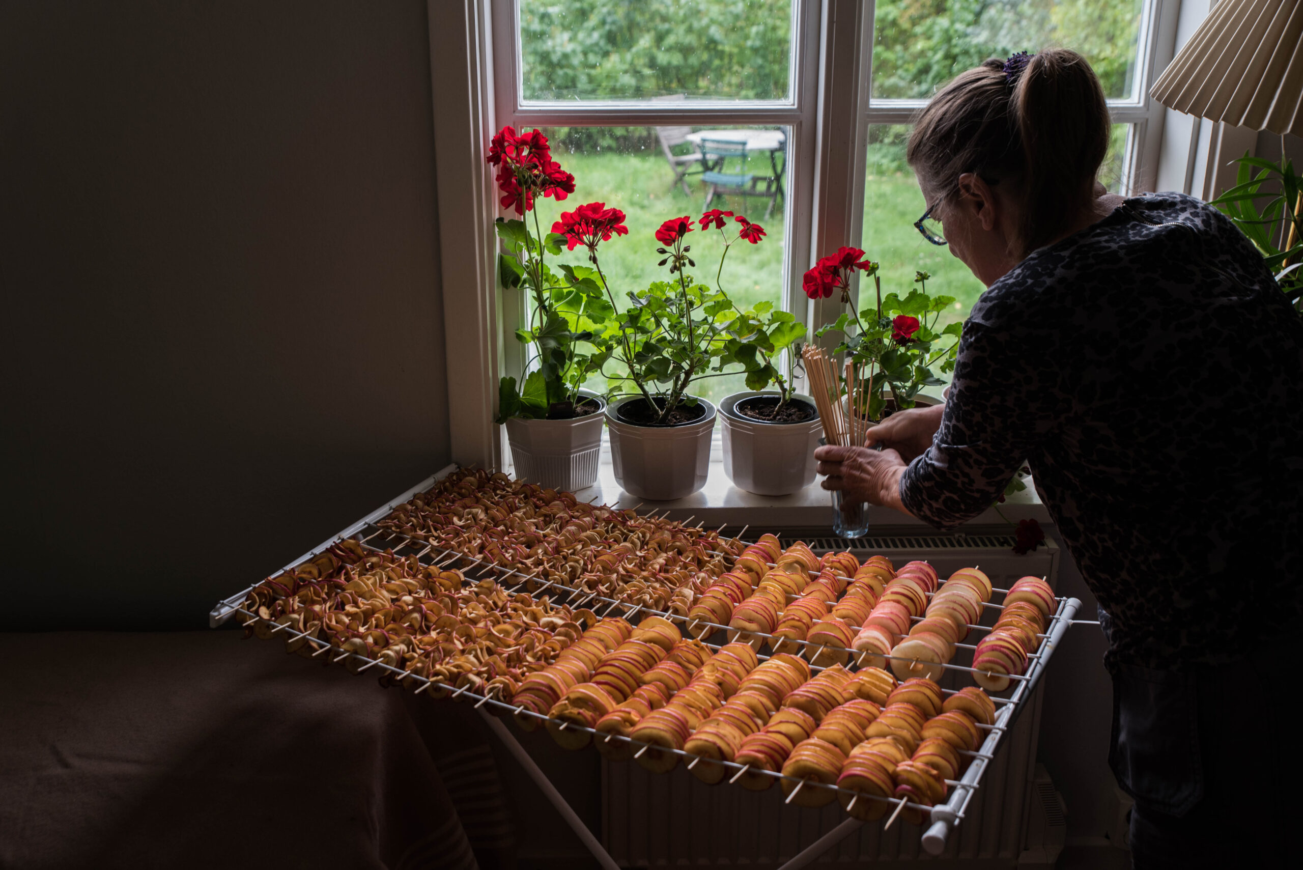 Torka äppelskivor som Karin