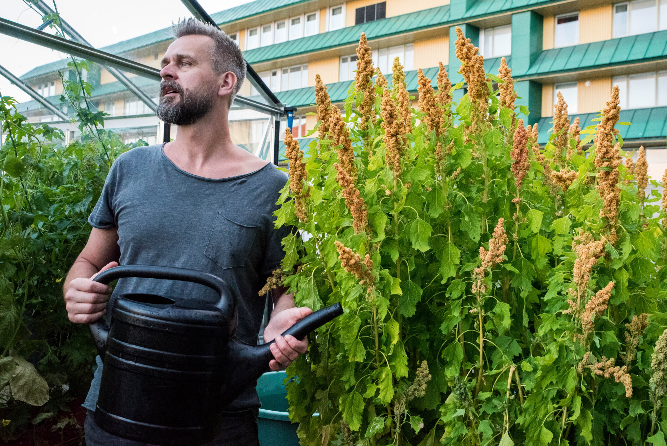 Farbror Grön i Mjölby tisdagen den 23 oktober