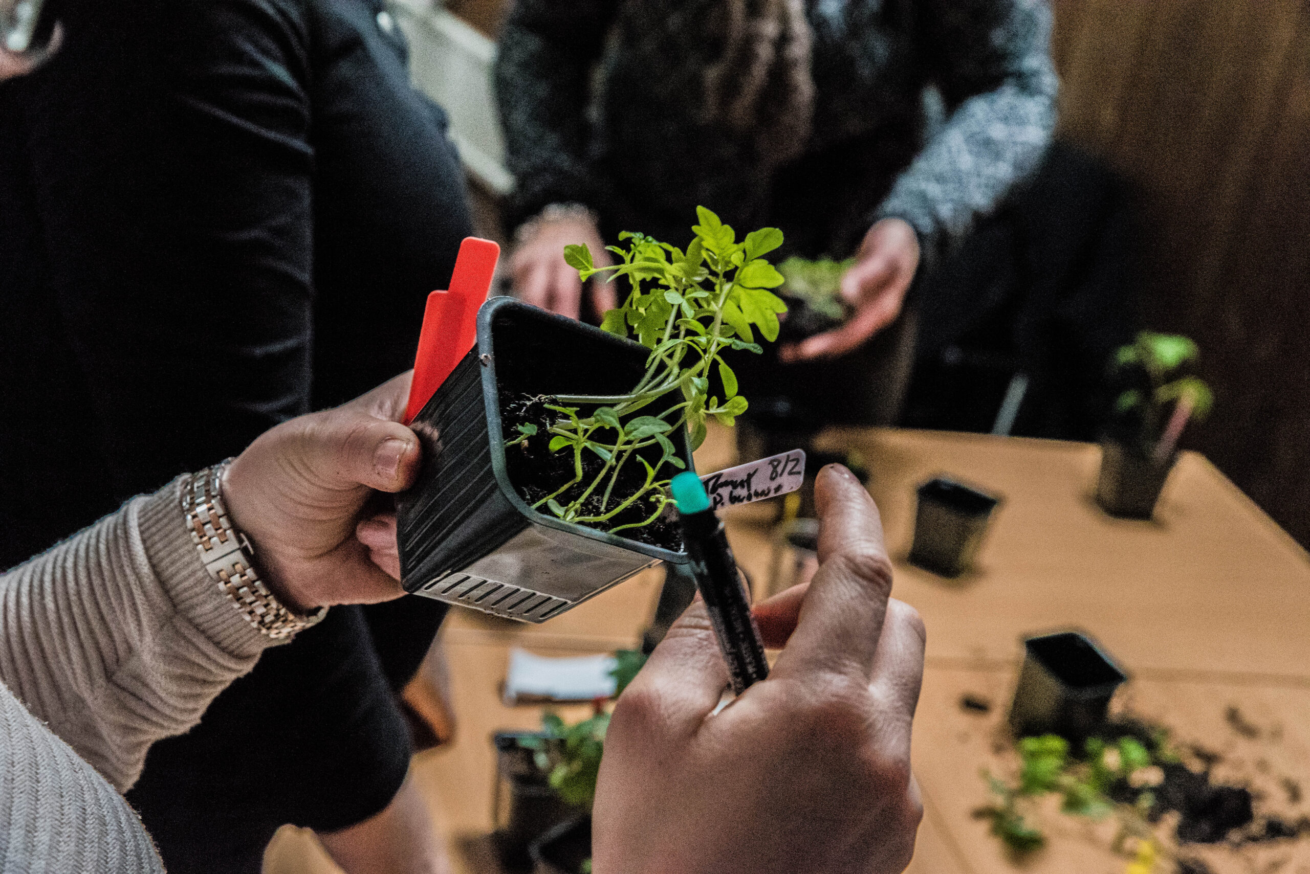 Endagskurs i Stockholm – Odla var du än är
