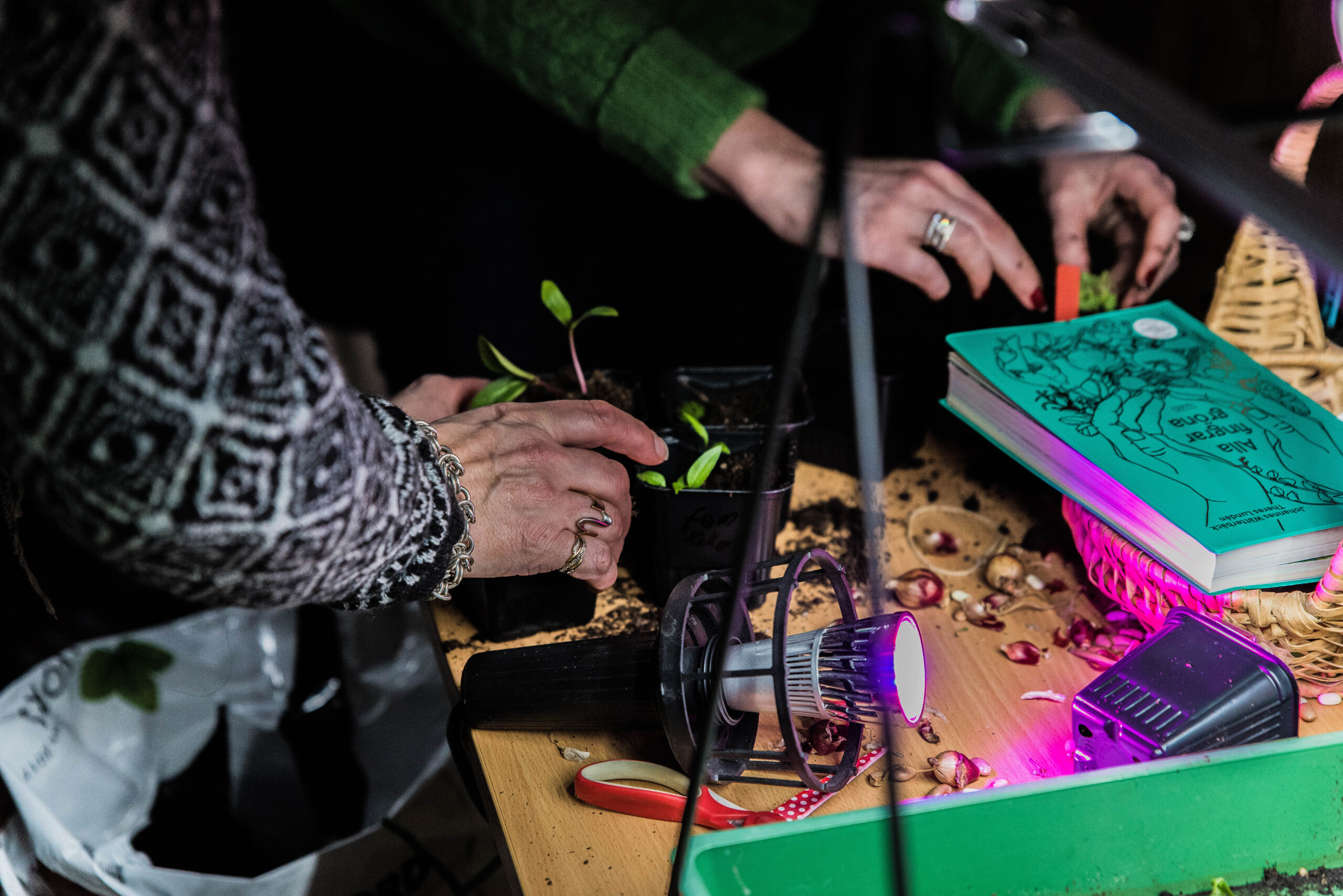 Odlingsdag i Herrljunga lördagen den 4 februari 2023