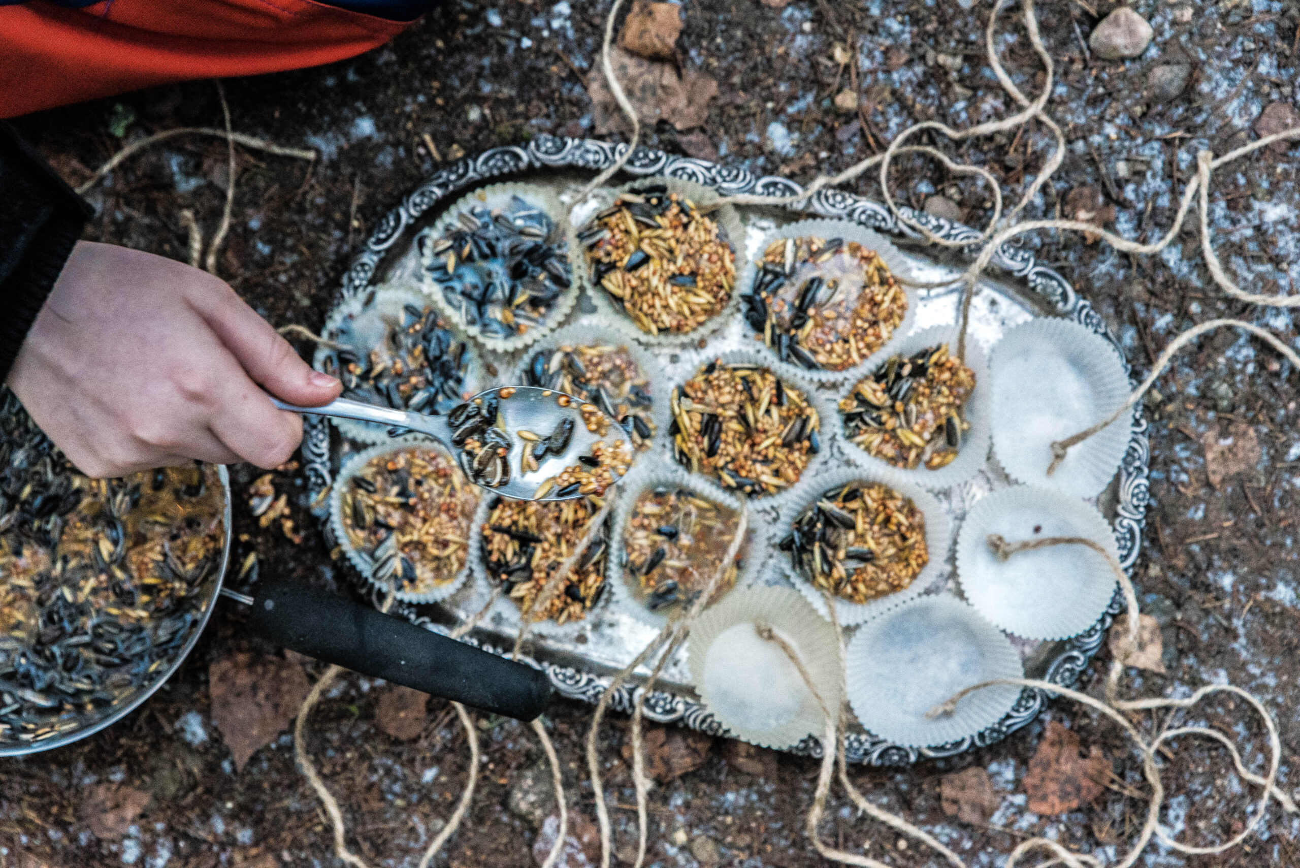 Egna fröbollar till fåglarna