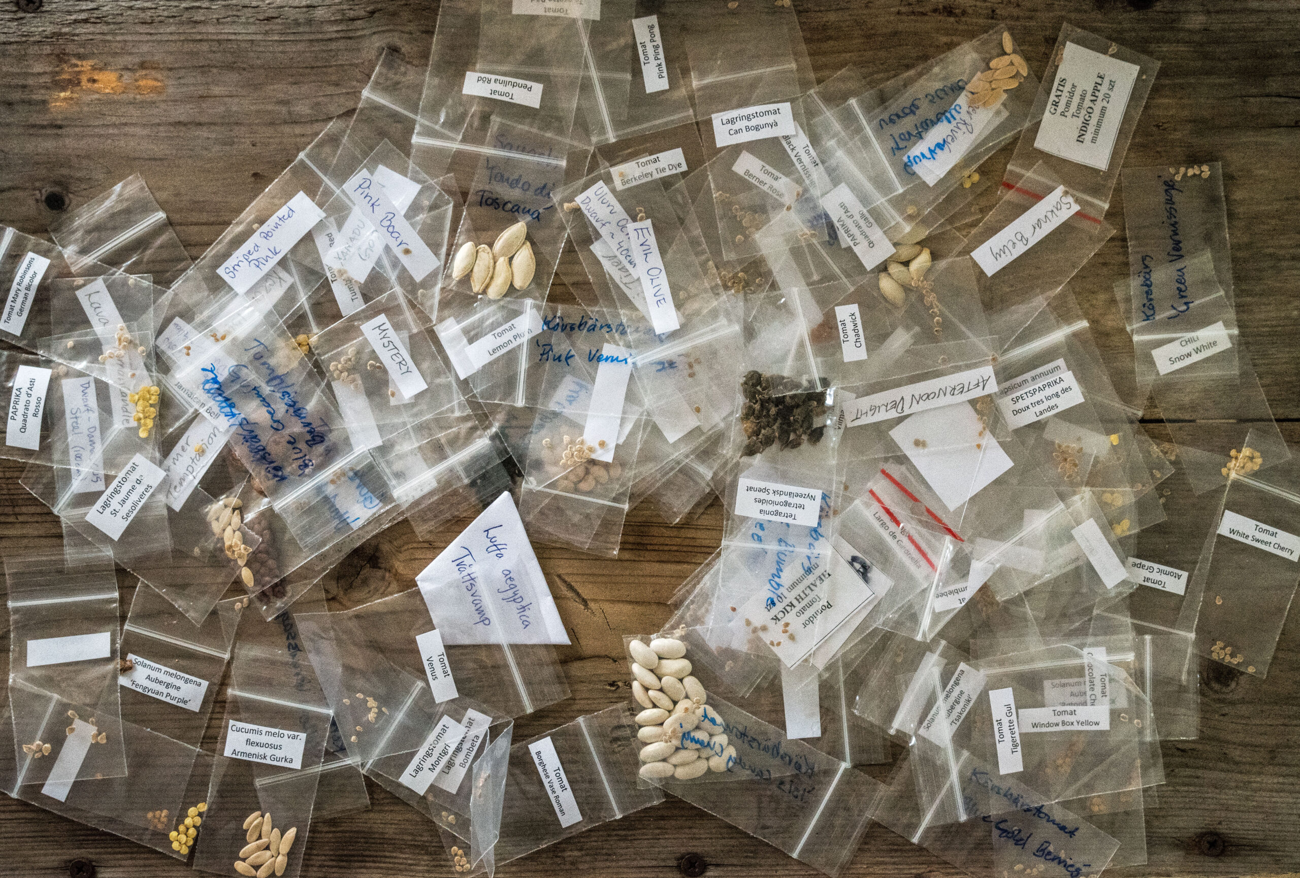 Jag handlar frön av Helena