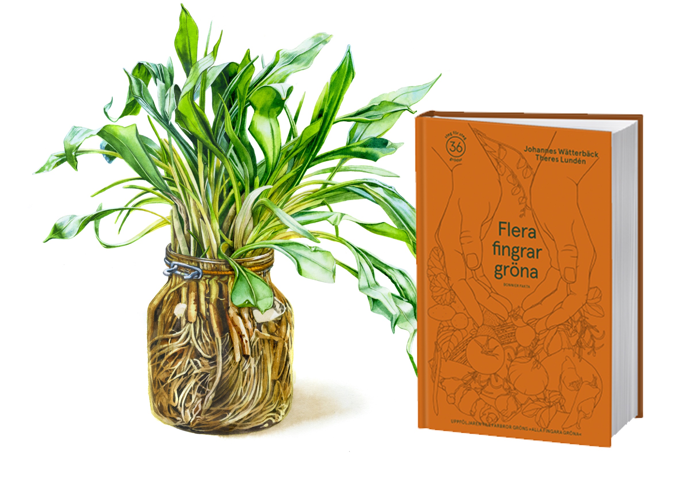 Förhandsboka Flera fingrar gröna – signerad