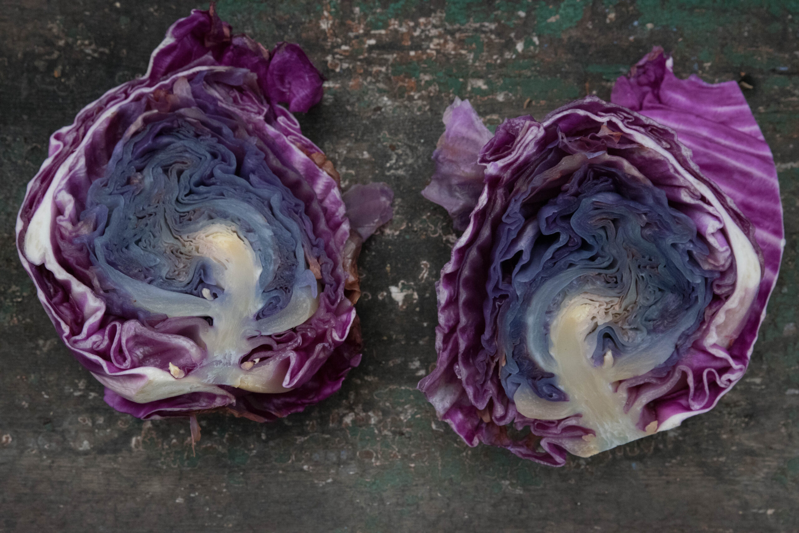 Kålen förstördes – det finns inga garantier i odlandet