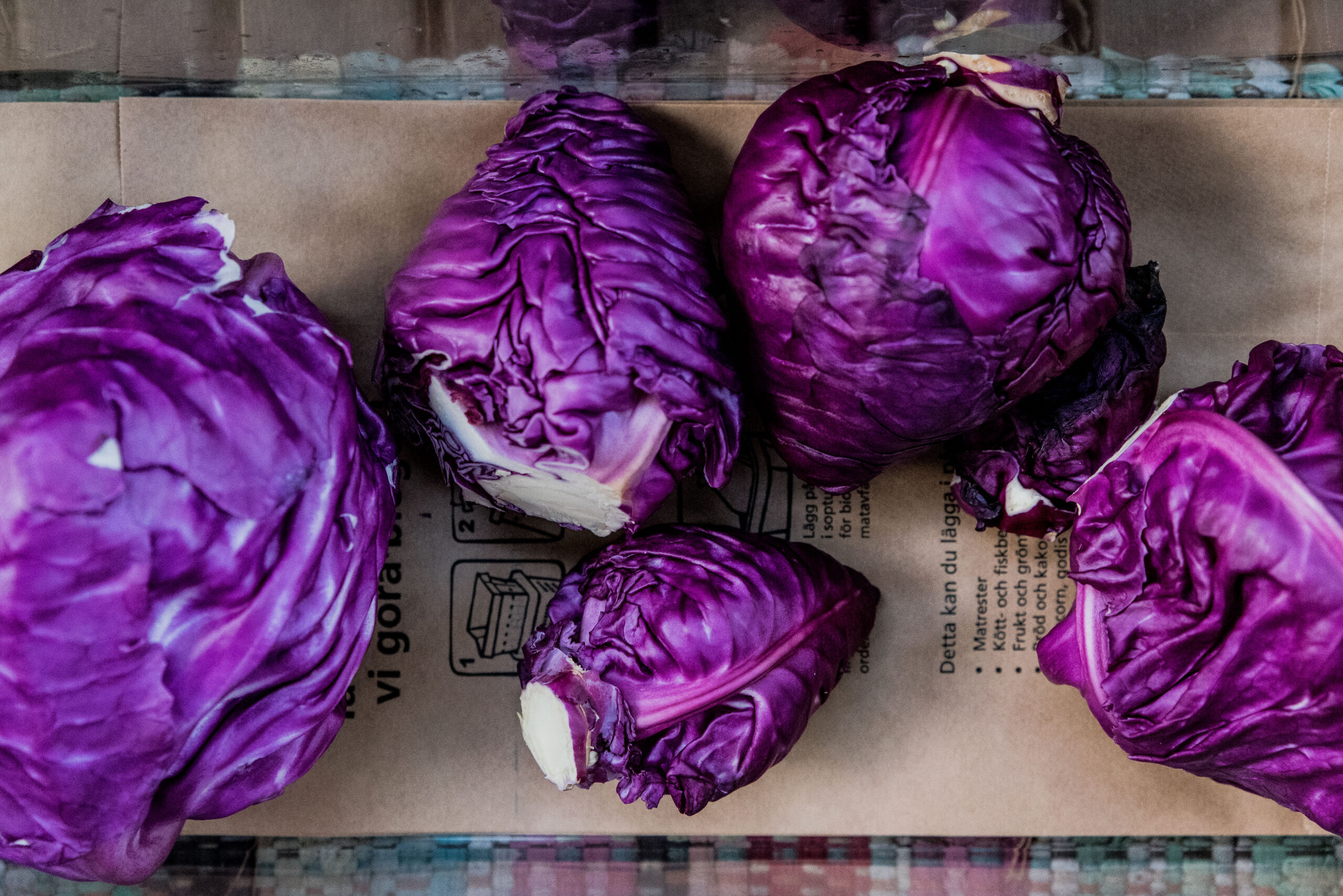 Vi skördar spetskålen kalibos i november – skördefilm