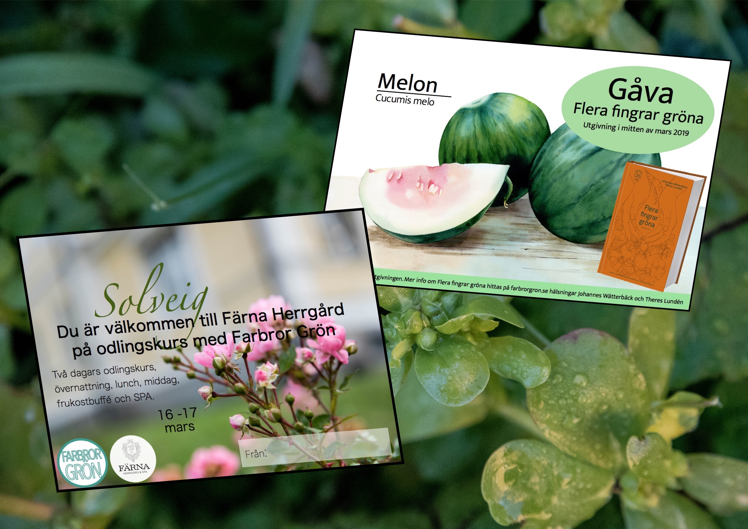 Gåvokort till julklappsutdelningen