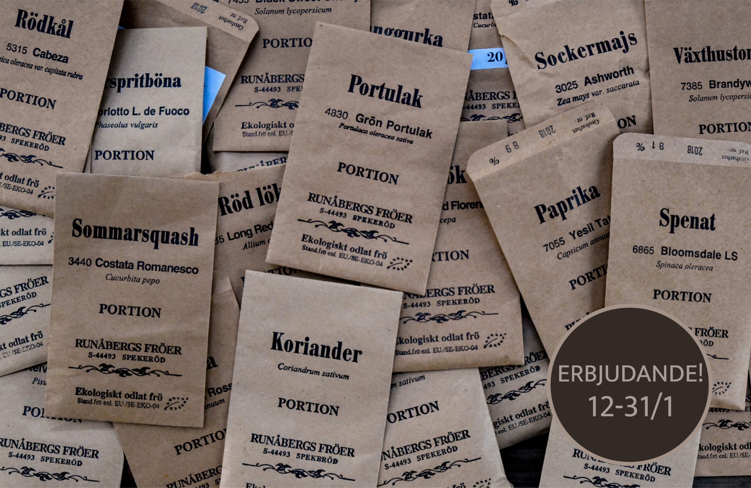 Runåbergs fröer – chilierbjudande