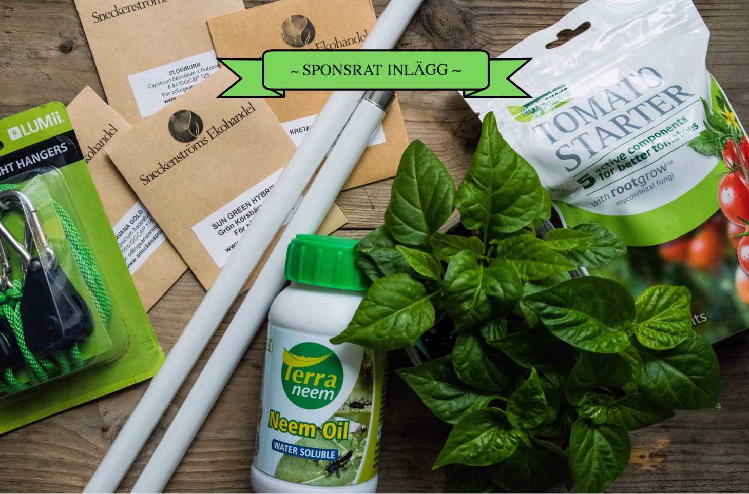 Sneckenströms ekohandel – erbjudande