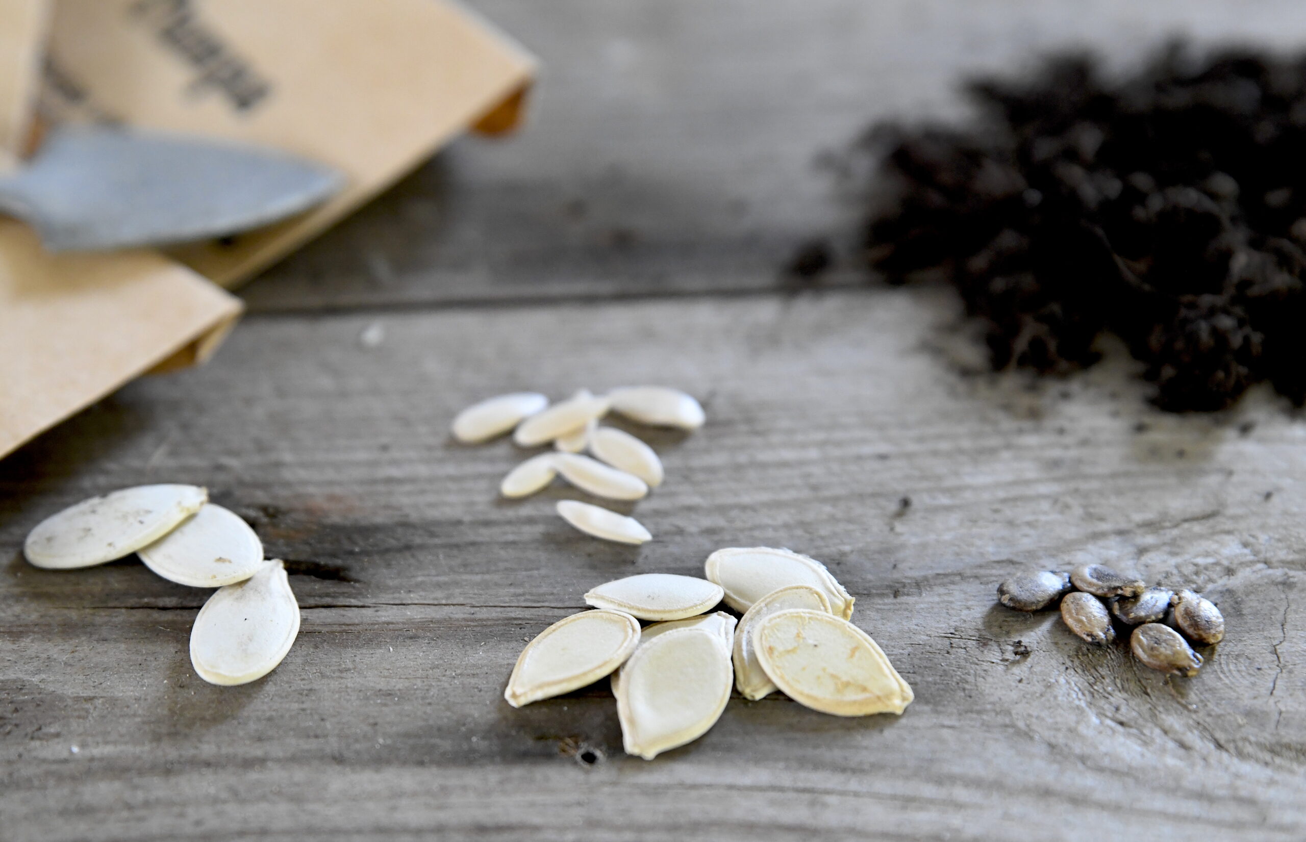 Så inte gurkväxter för tidigt!