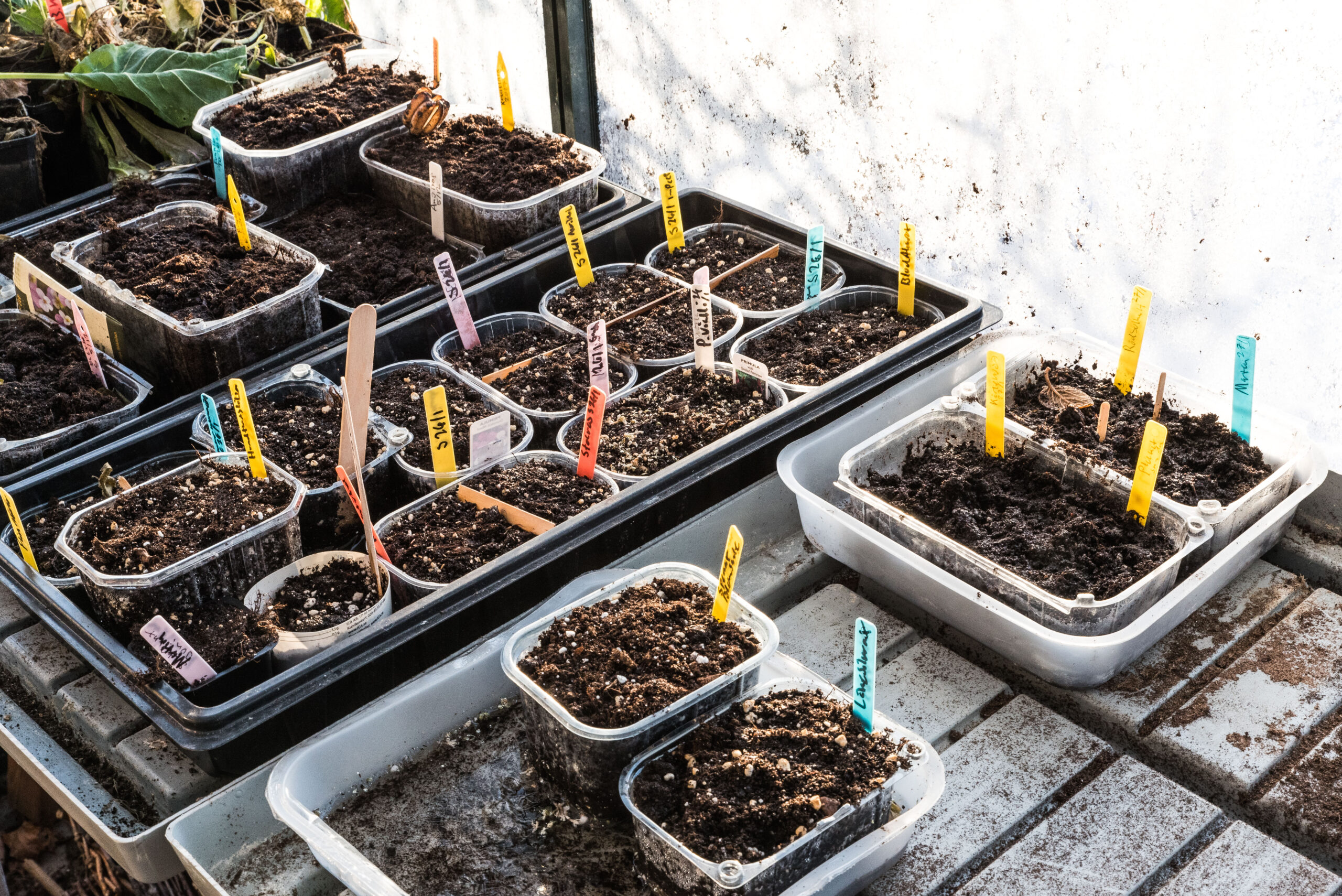 Så i mars – utomhus