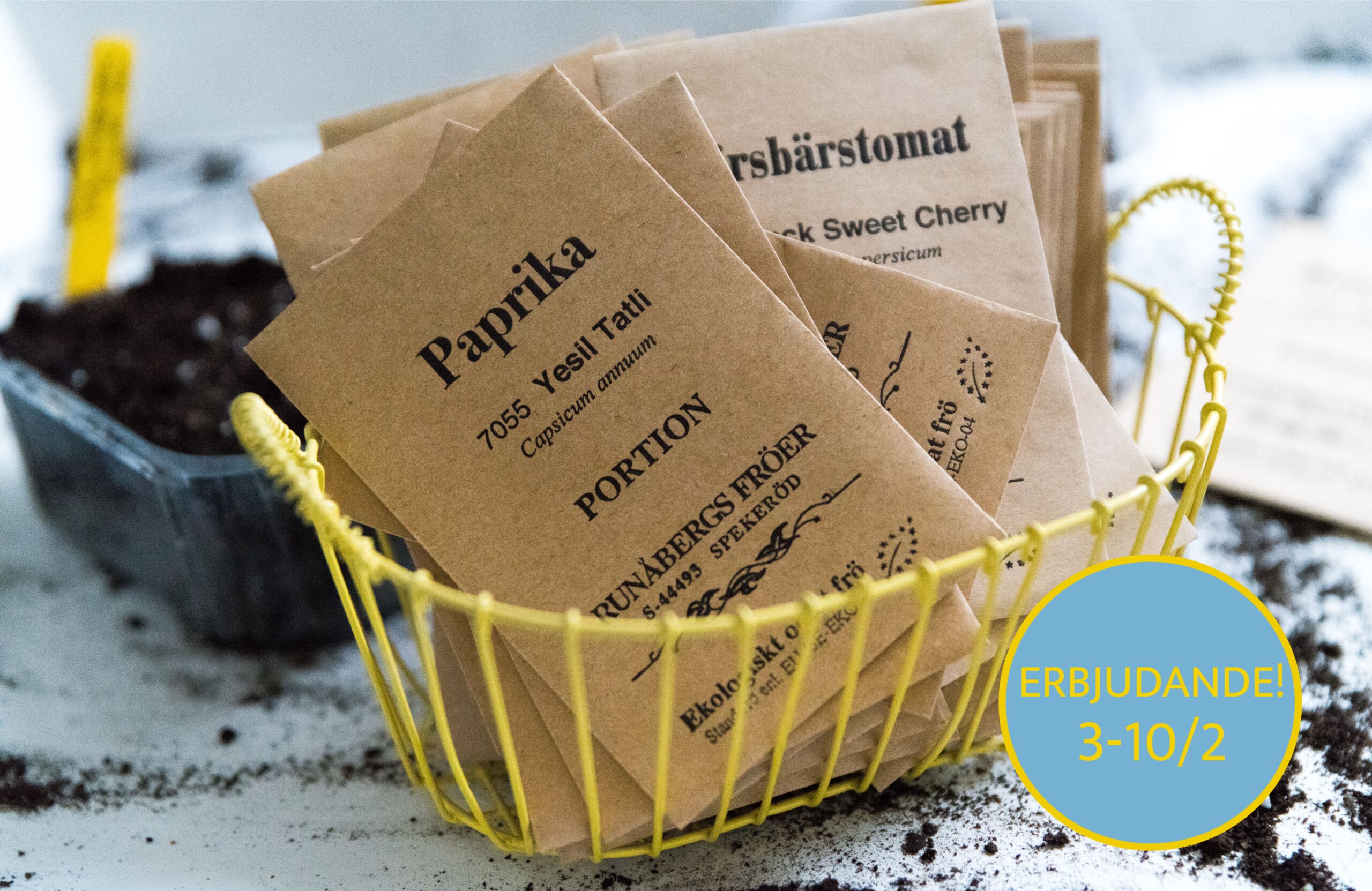 Runåbergs fröer – aubergine