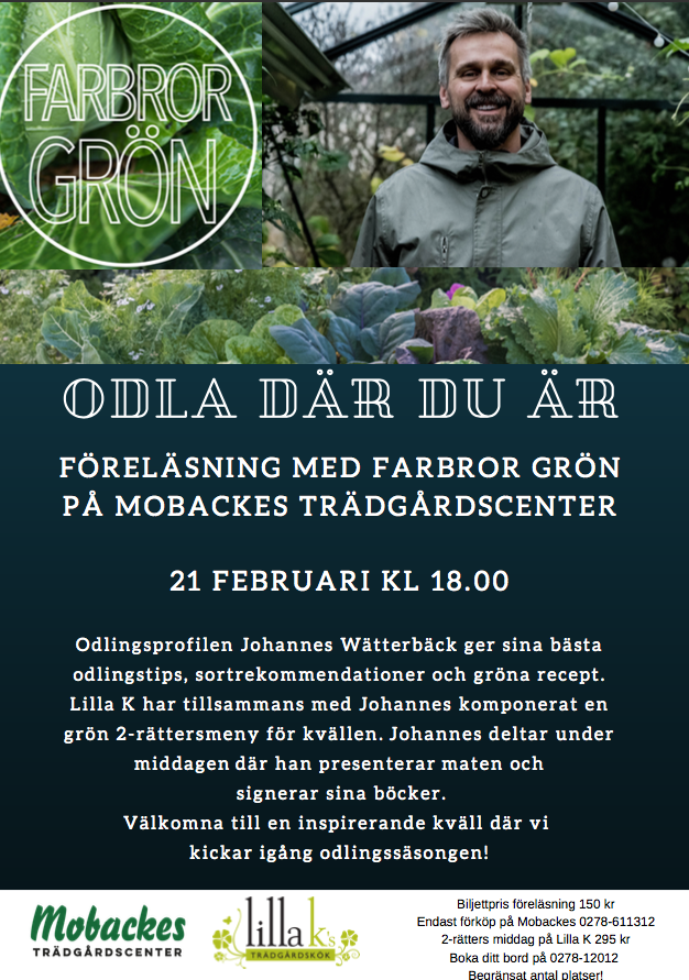 Farbror Grön i Bollnäs