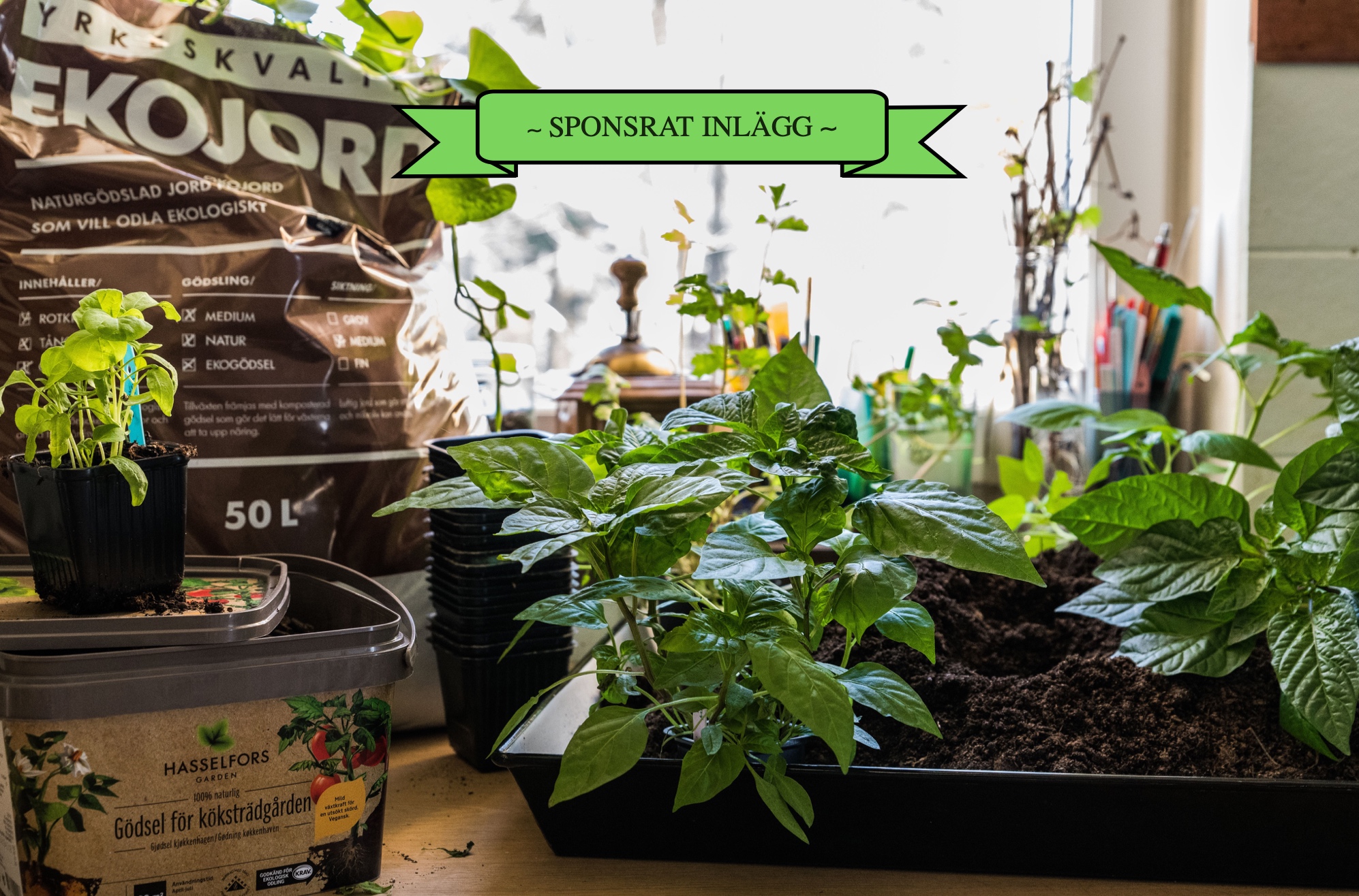 Omplantera med gödsel