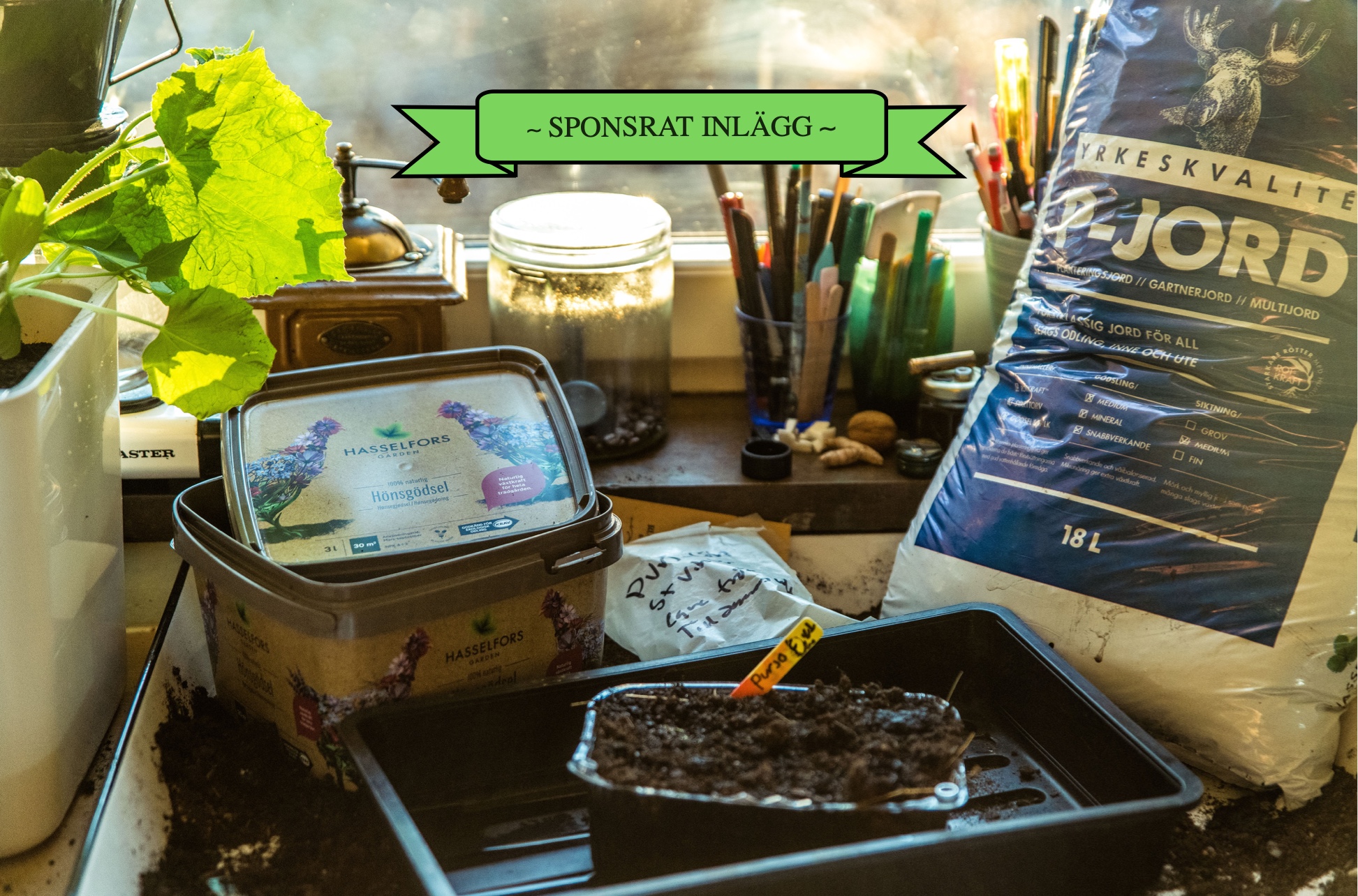 Gödsla planteringsjorden