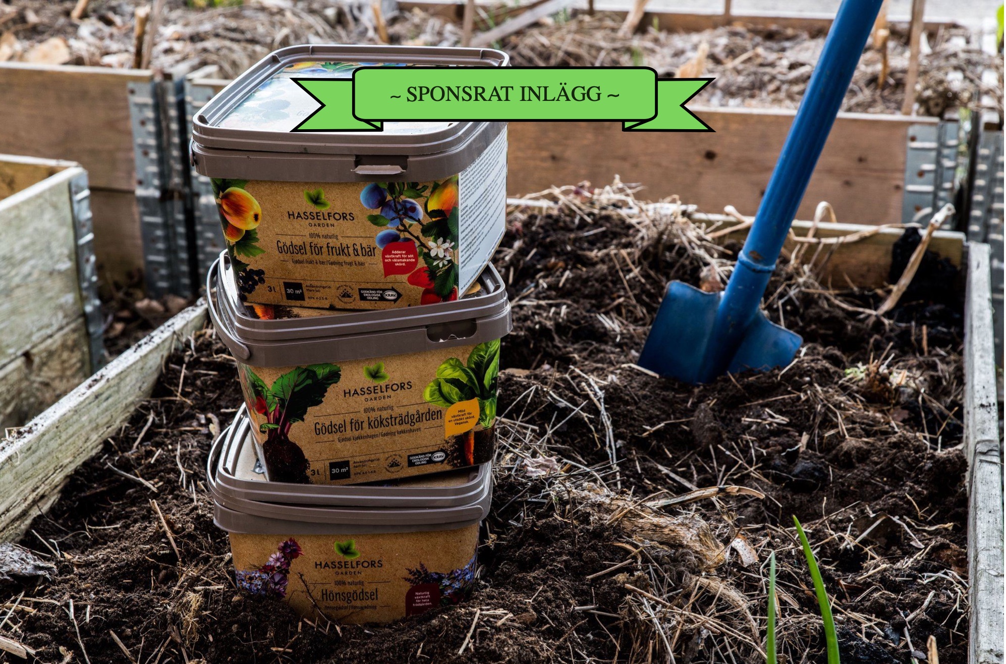 Gödsla vid utplantering