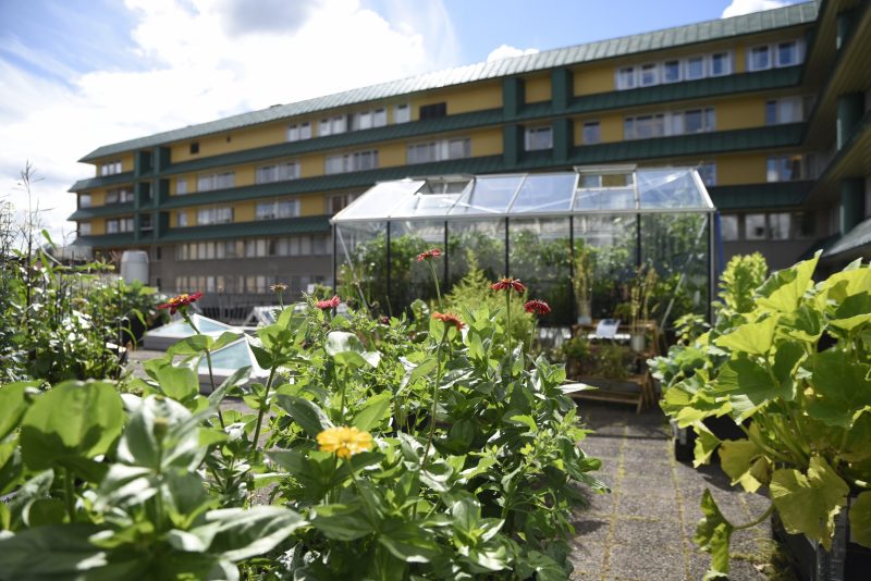 Välkommen till föreläsning och visning av Takfarmen