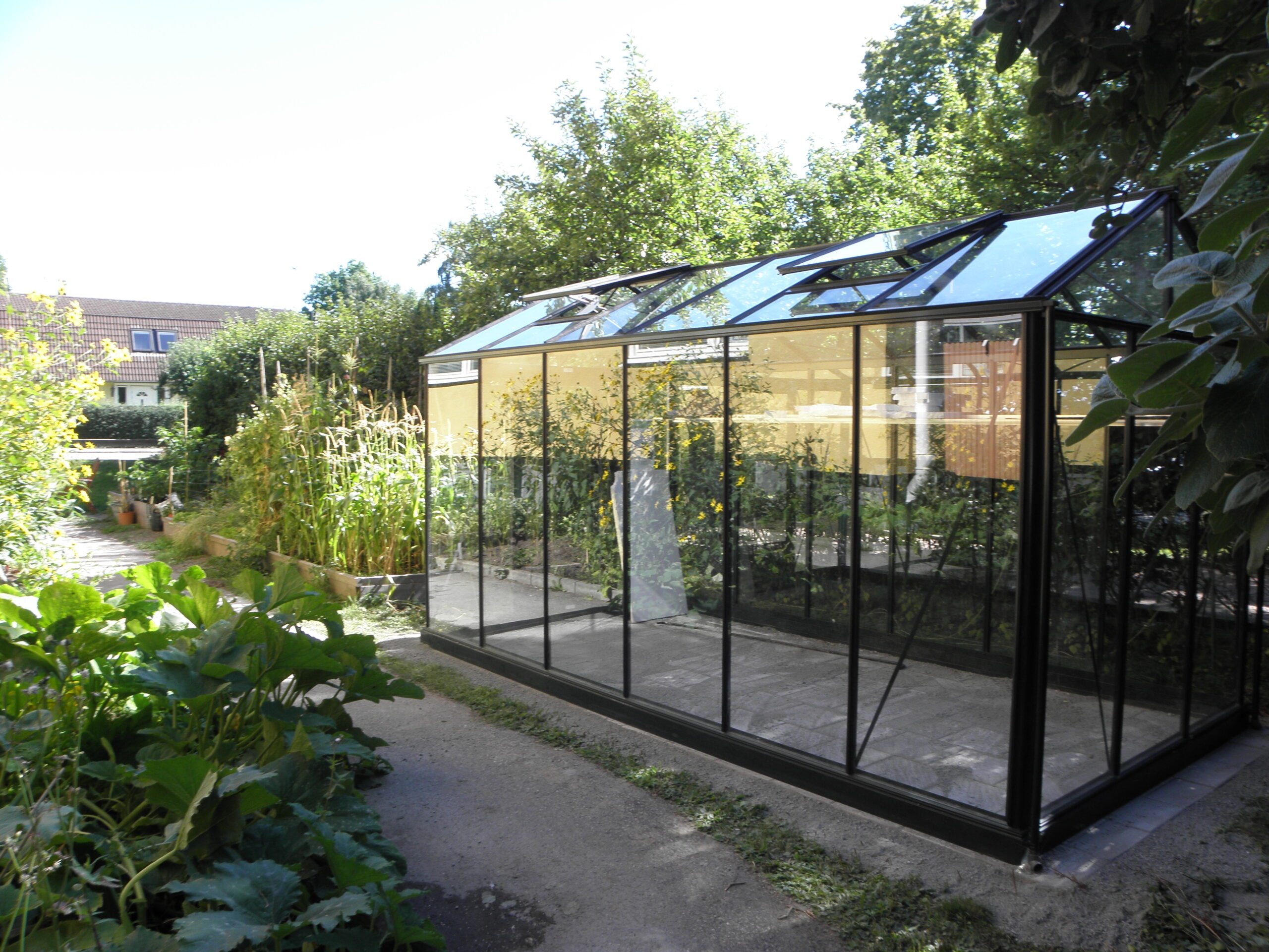 Odla i växthus – tips inför växthusköp