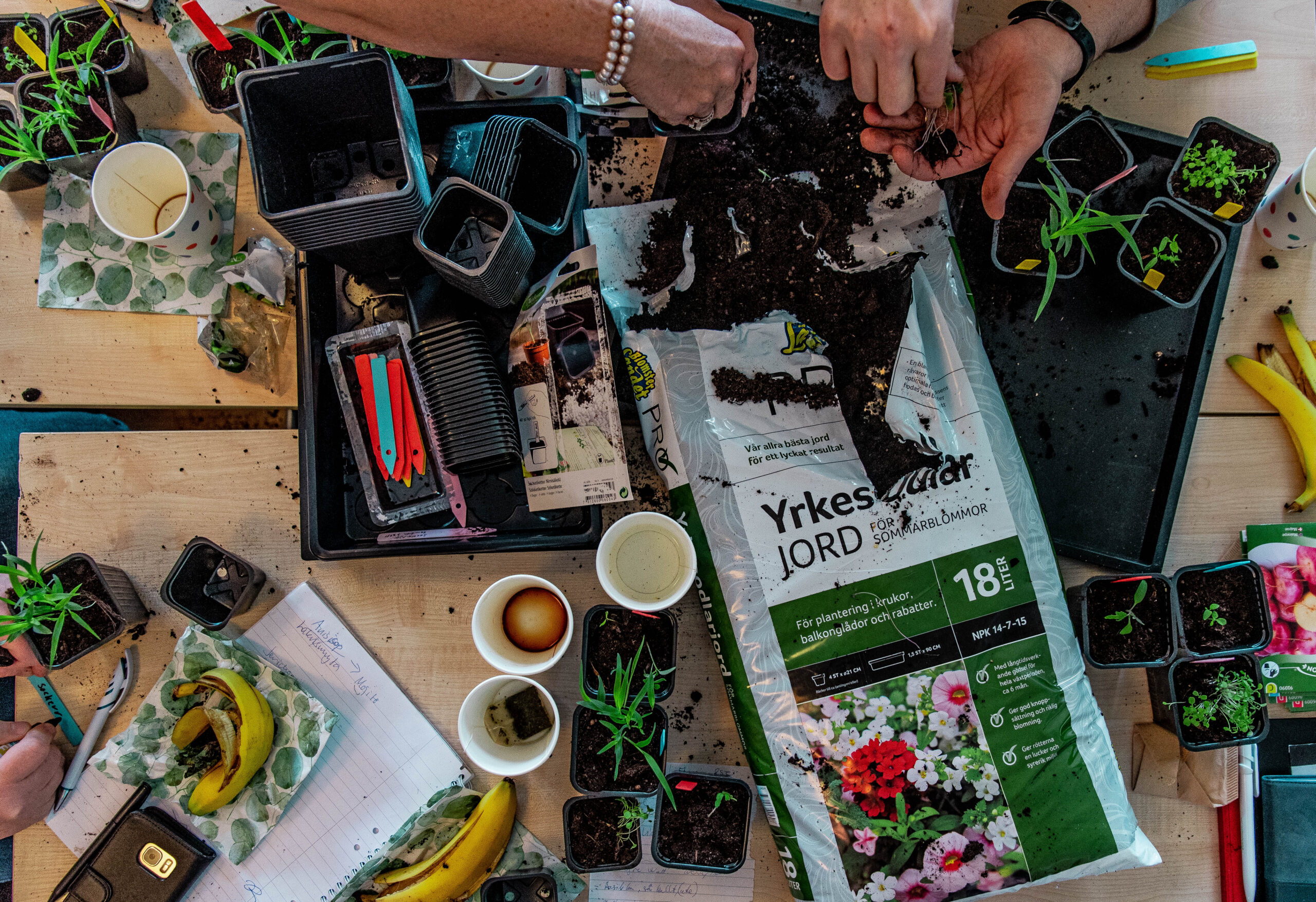 Hälsans hus – 2 februari