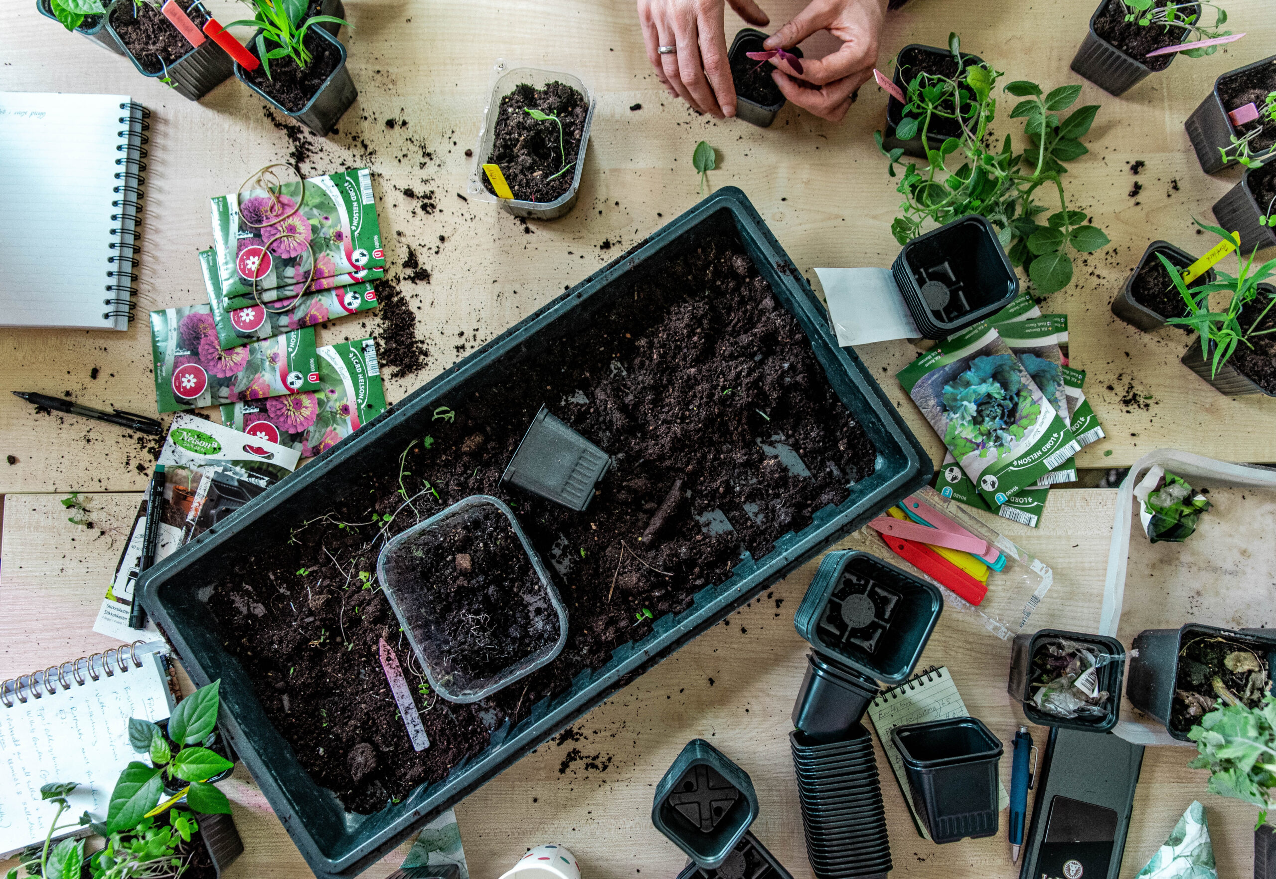Endagskurs på Hälsans hus i Stockholm den 17 december