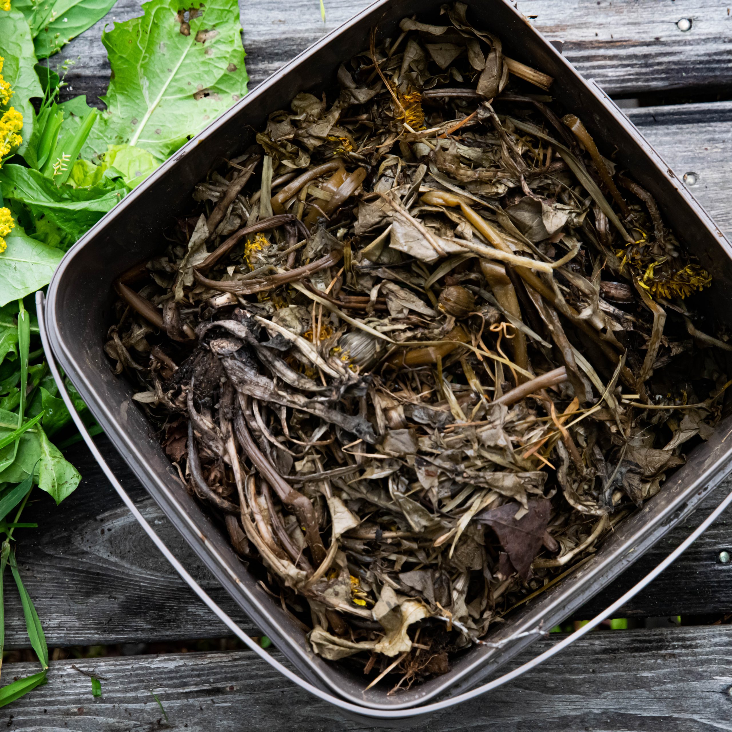 Göra eget ogräsgödsel och ensilage