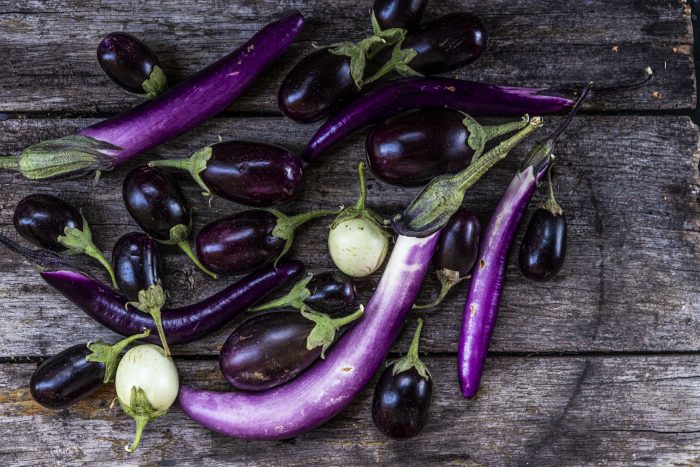 Odla aubergine – från sådd till skörd