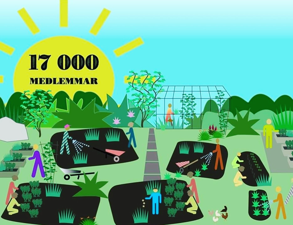 Farbror Gröns trädgårdsland