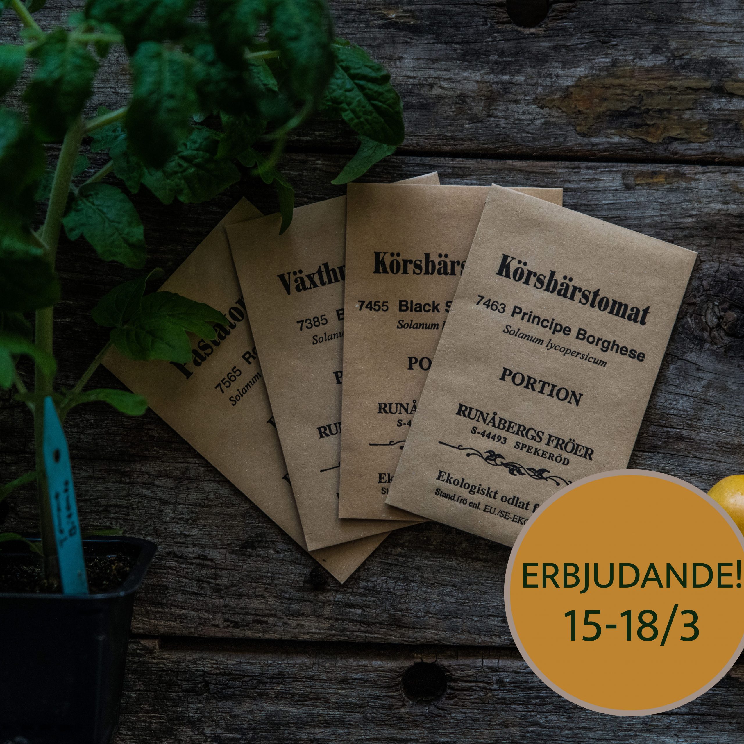 Runåbergs fröer- Tomaterbjudande