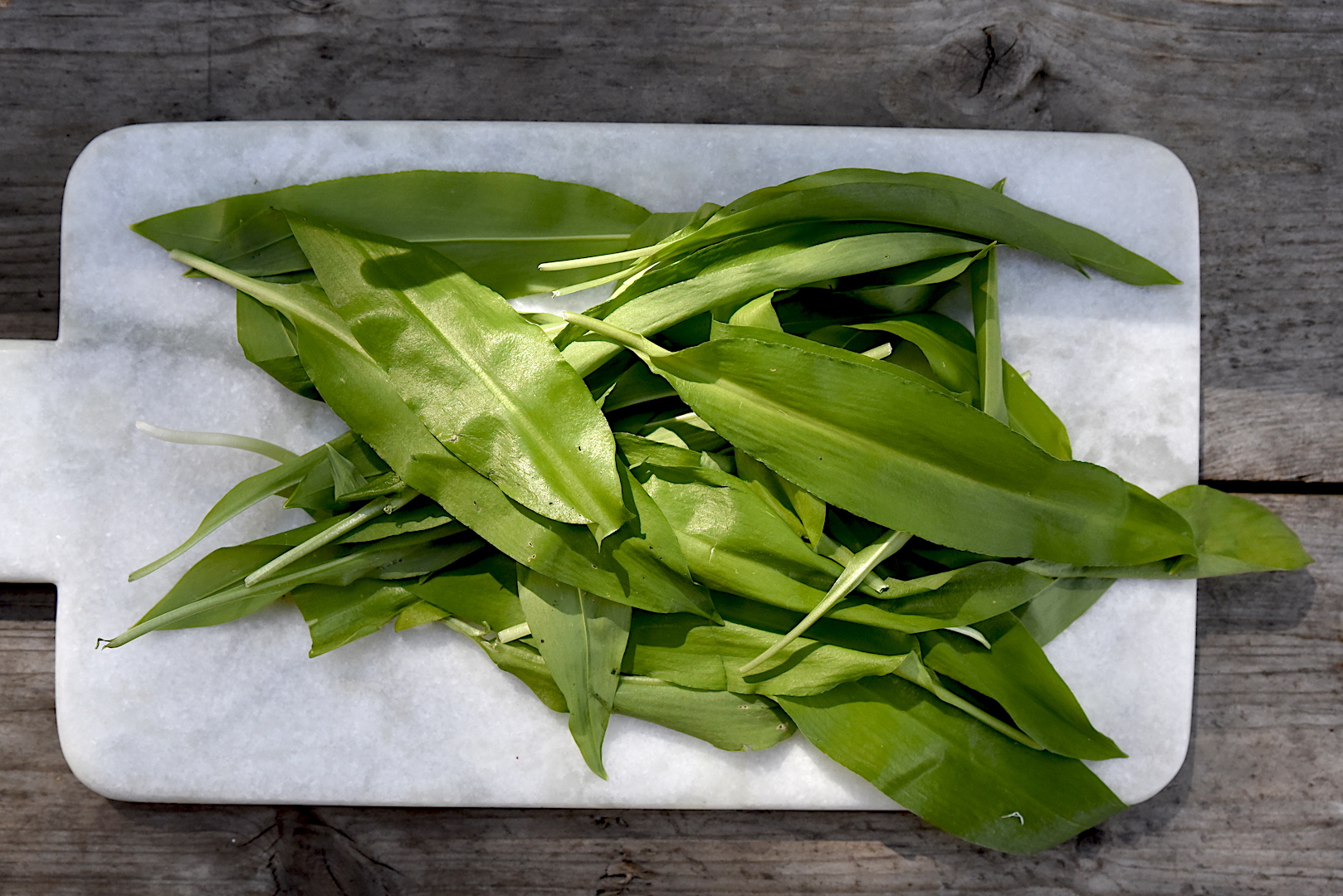 Ramslök – våra godaste gröna ramslöksrecept