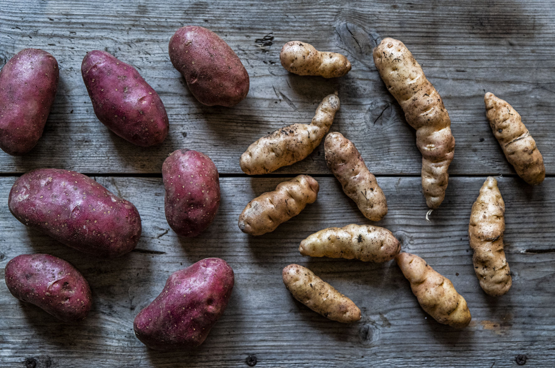 Vår bästa potatis är korad!