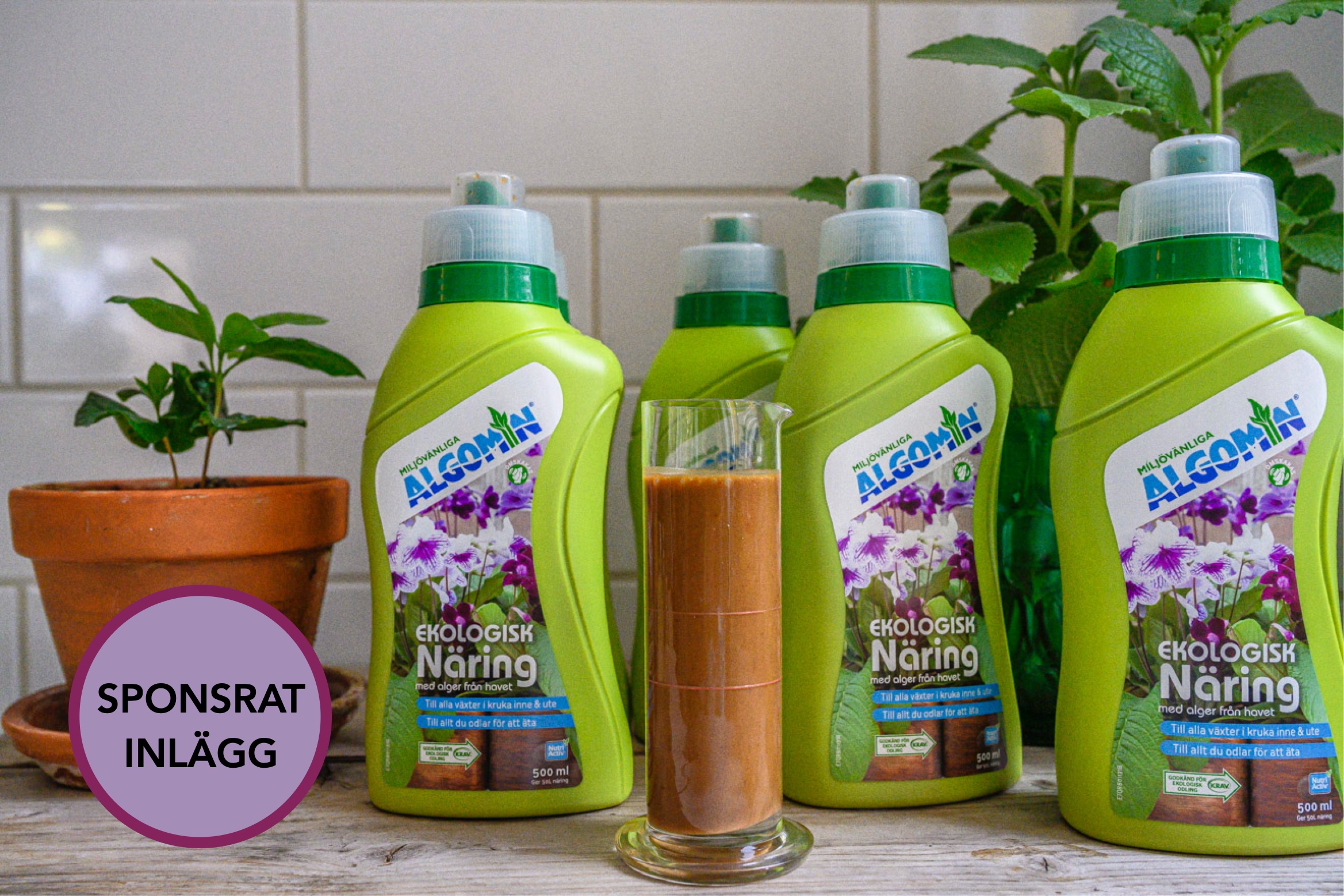 Algomin flytande näring är säker att använda