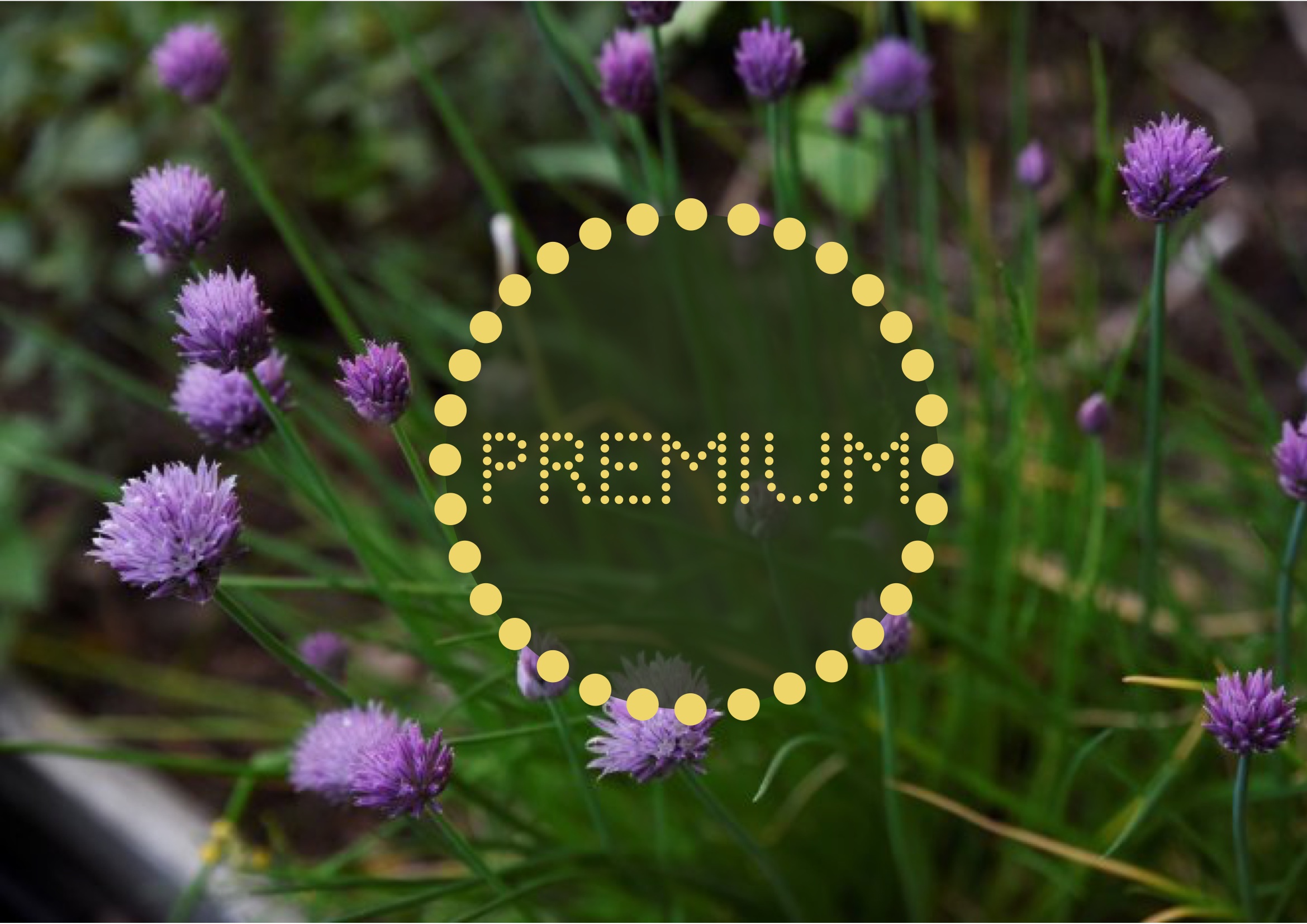 Välkommen till Farbror Grön Premium