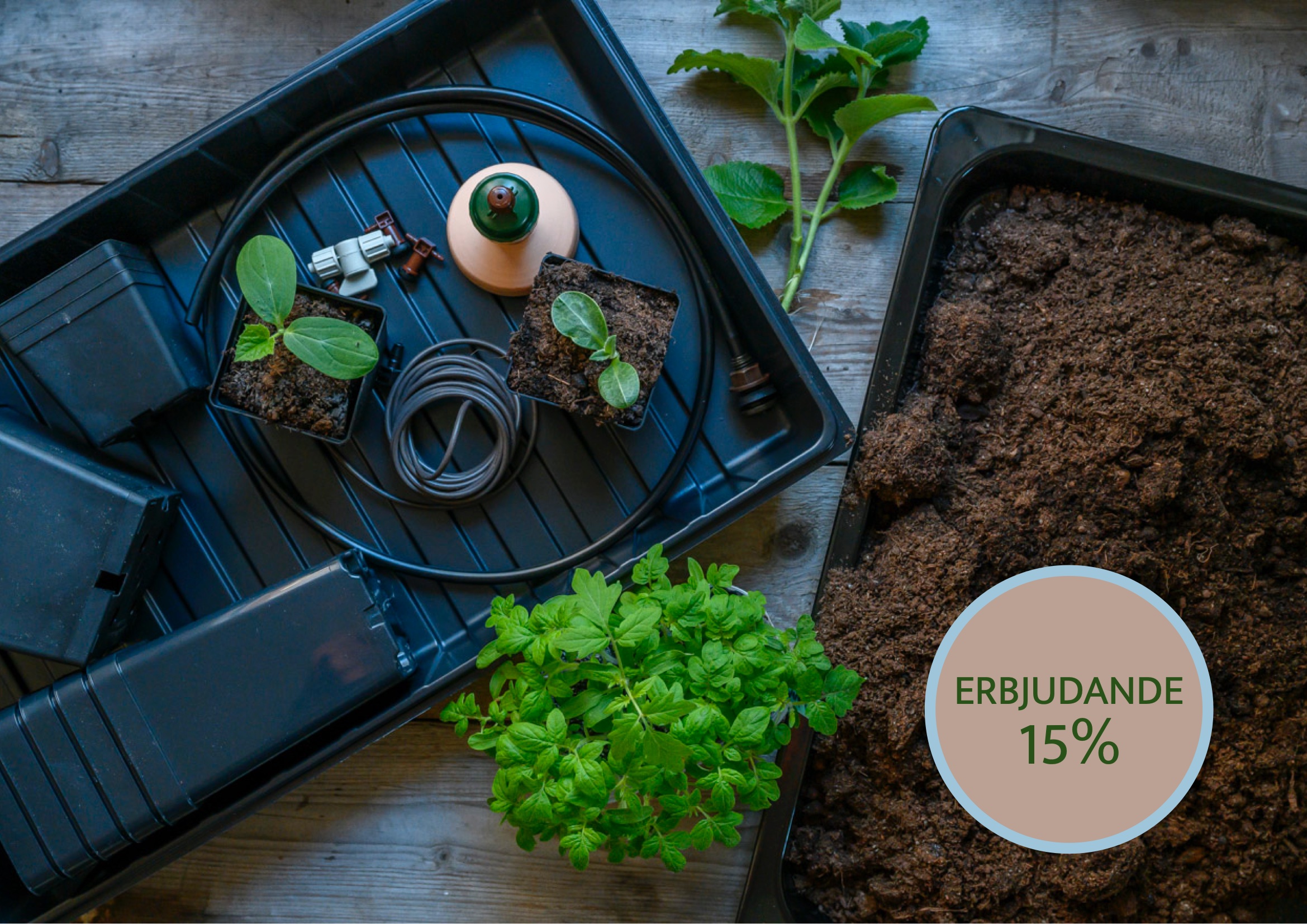 Omplantering – krukor, odlingstråg och keramisk bevattning