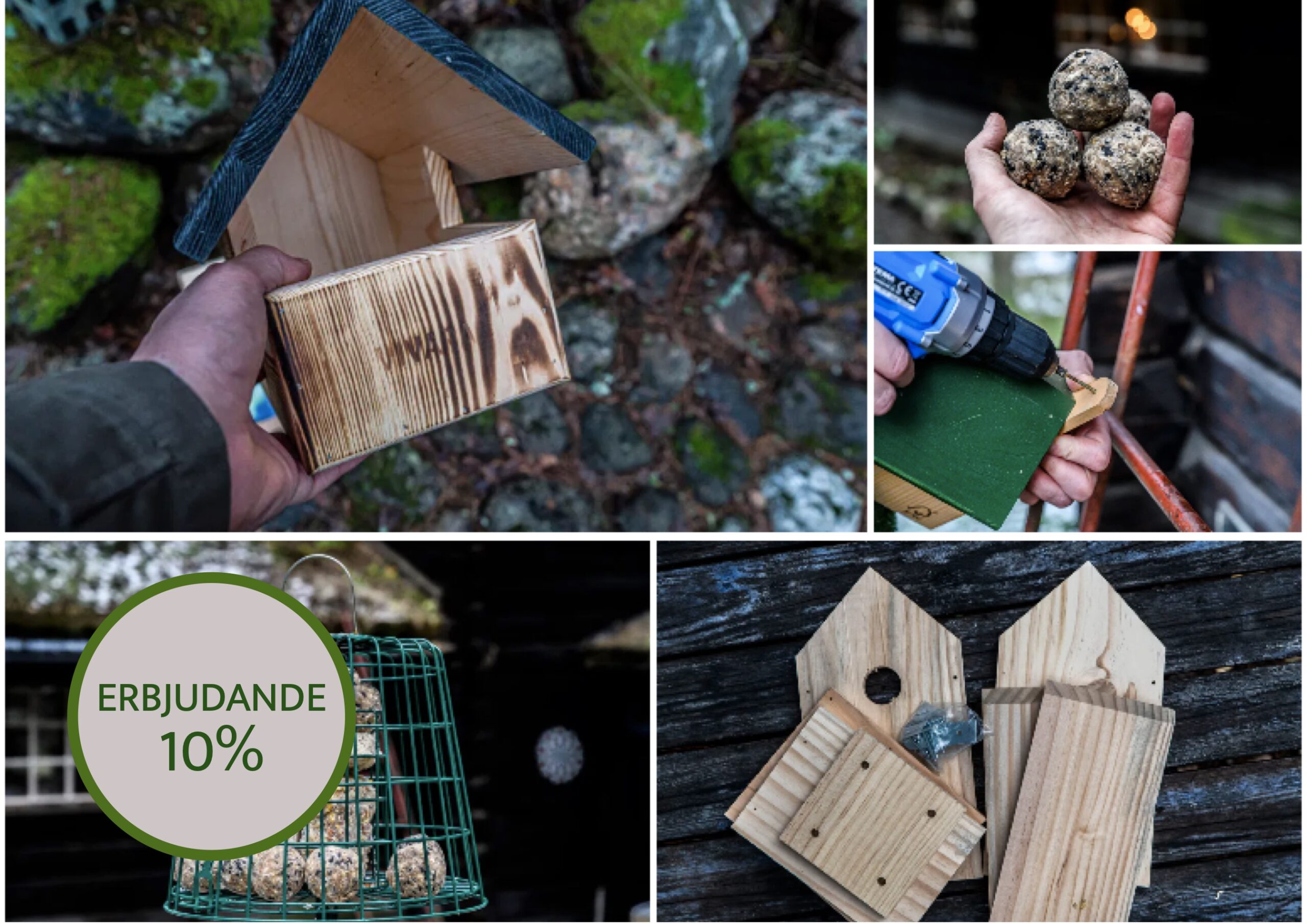 Vi sätter upp fågelholkar och ger fåglarna fet mat